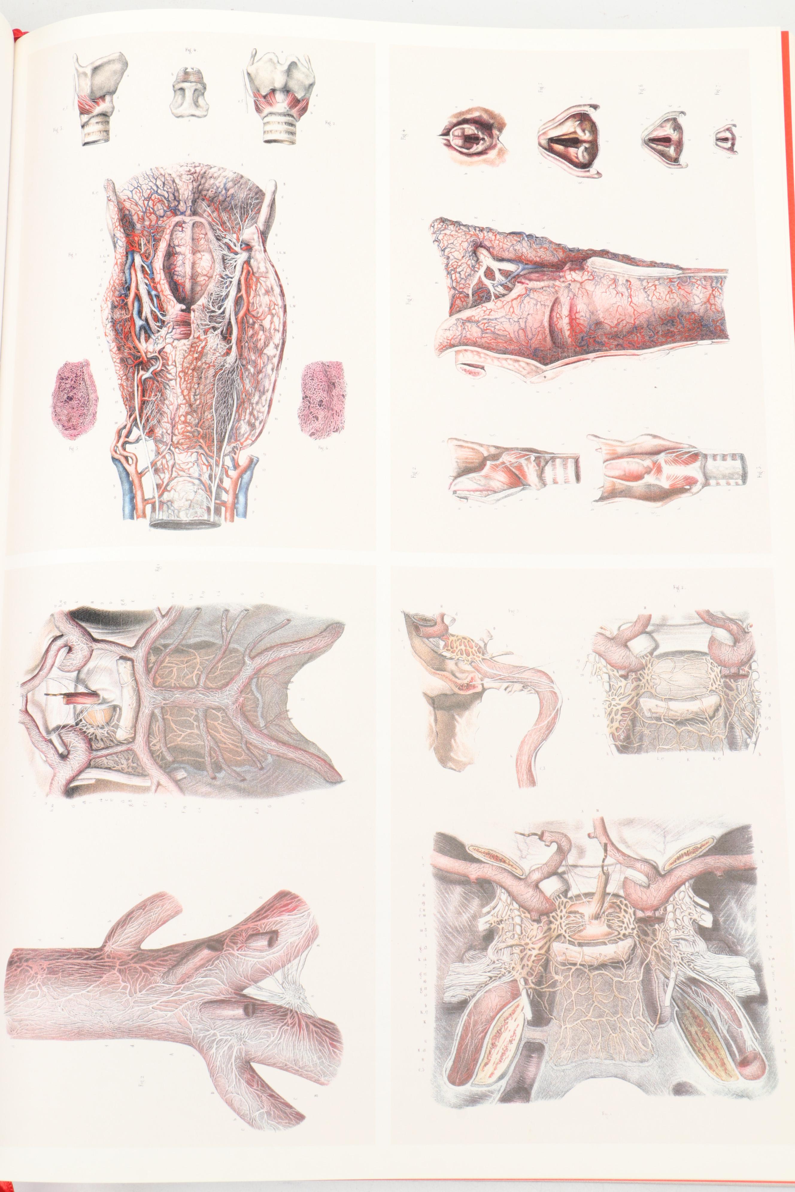 "Atlas of Human Anatomy and Surgery" by J. M. Bourgery and N. H. Jacob, 2005