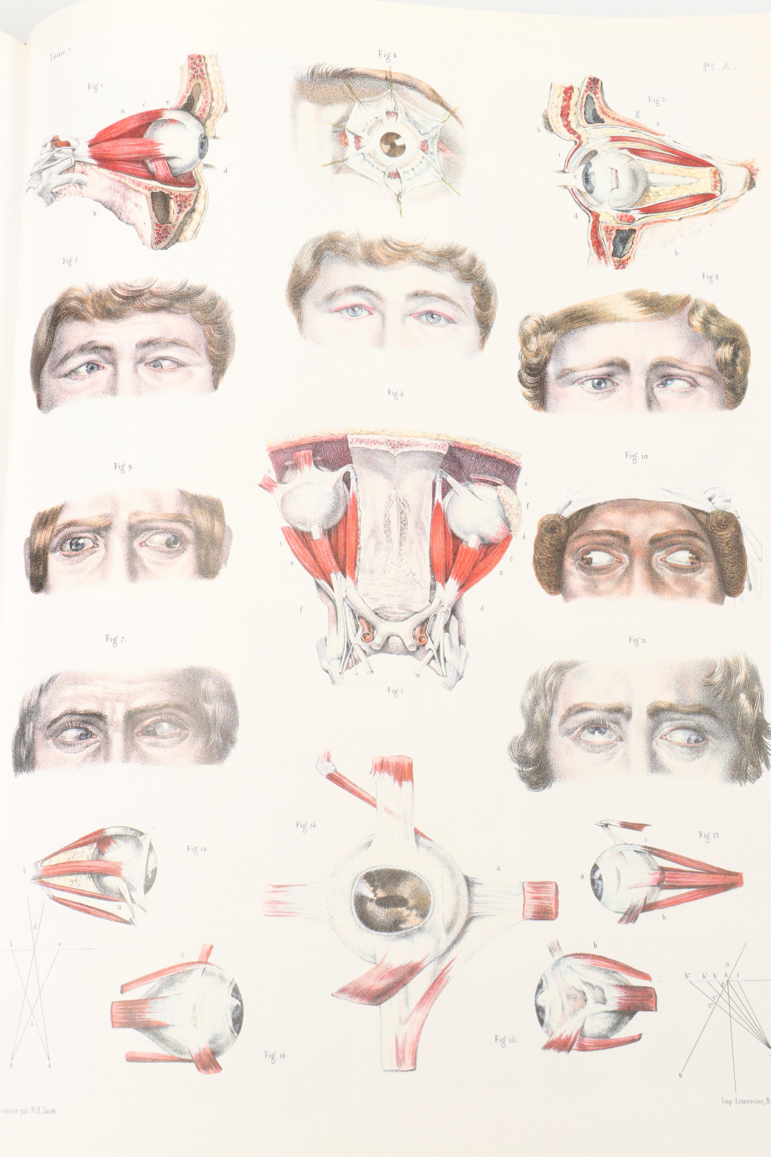 "Atlas of Human Anatomy and Surgery" by J. M. Bourgery and N. H. Jacob, 2005