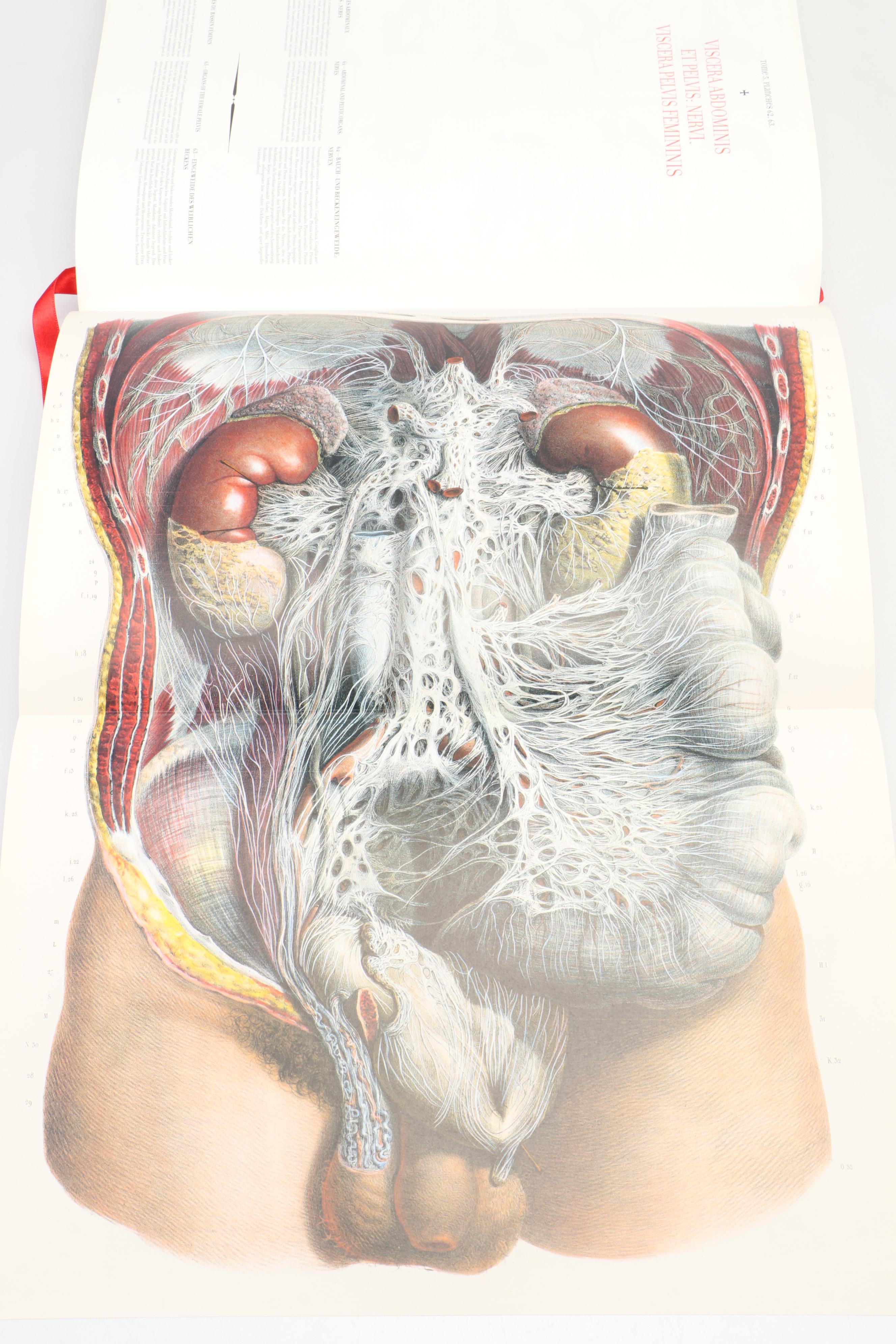 "Atlas of Human Anatomy and Surgery" by J. M. Bourgery and N. H. Jacob, 2005