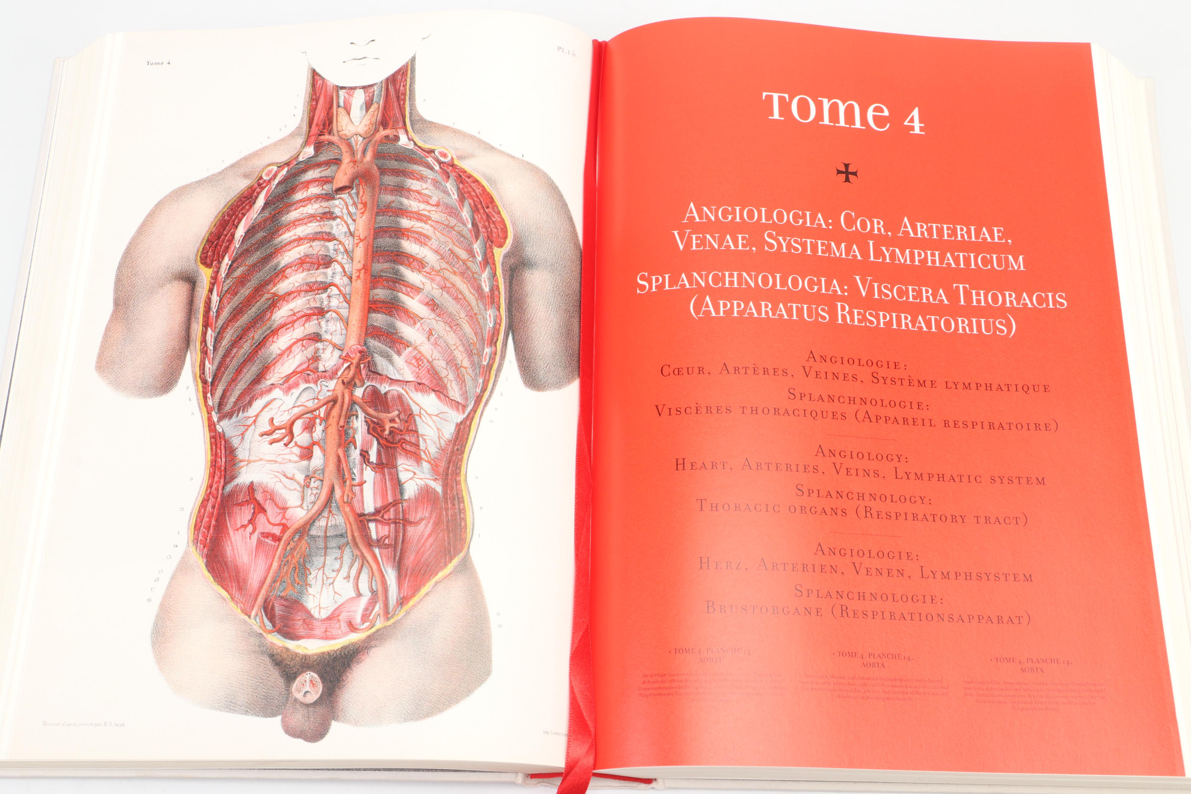 "Atlas of Human Anatomy and Surgery" by J. M. Bourgery and N. H. Jacob, 2005