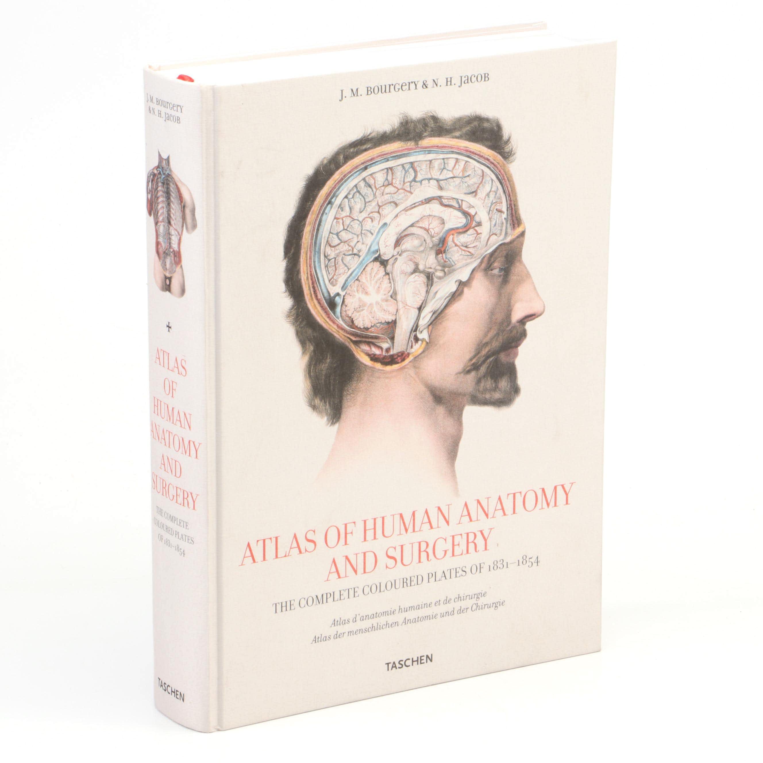 "Atlas of Human Anatomy and Surgery" by J. M. Bourgery and N. H. Jacob, 2005