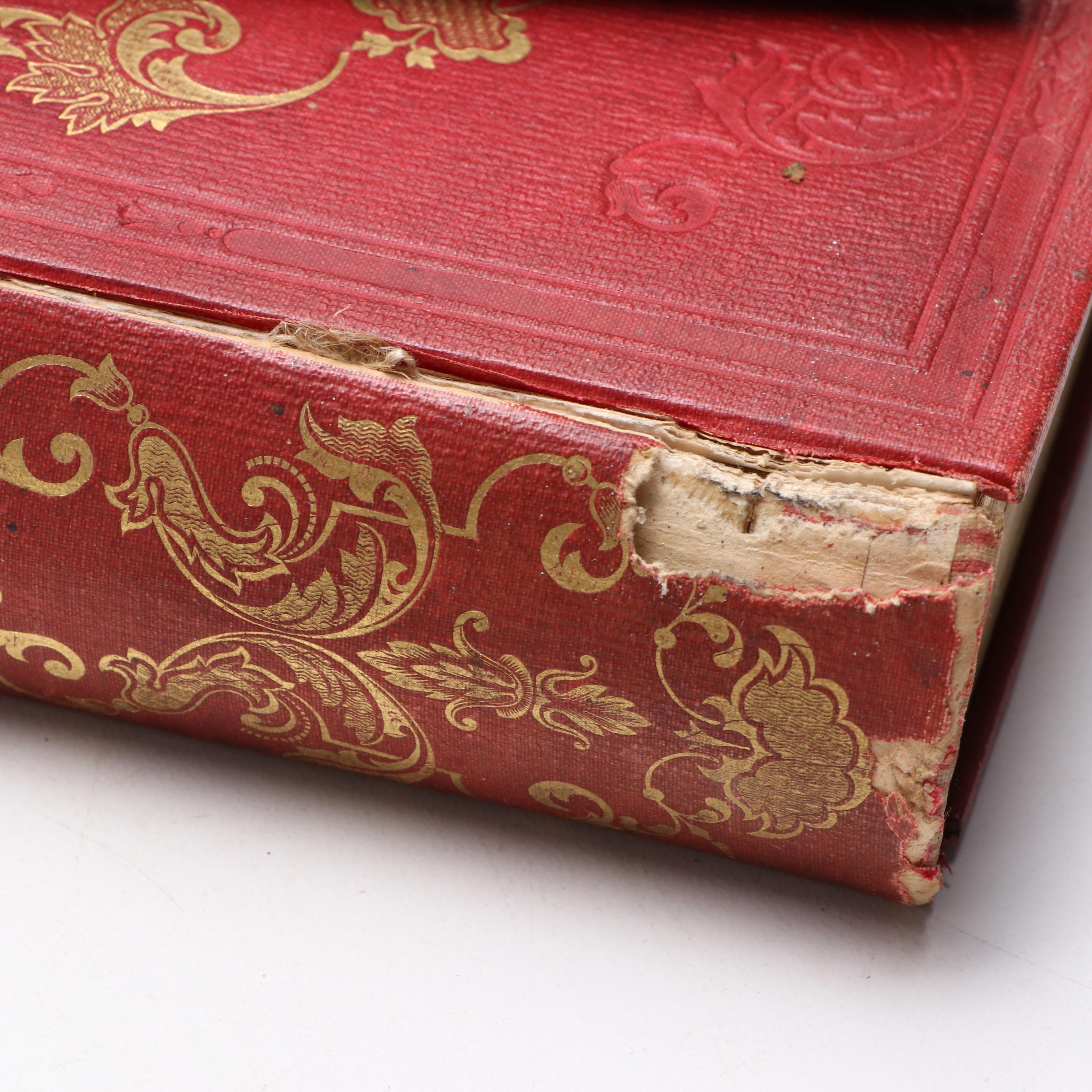 Gustave Dore Illustrated "The Adventures of Baron Munchausen" and More