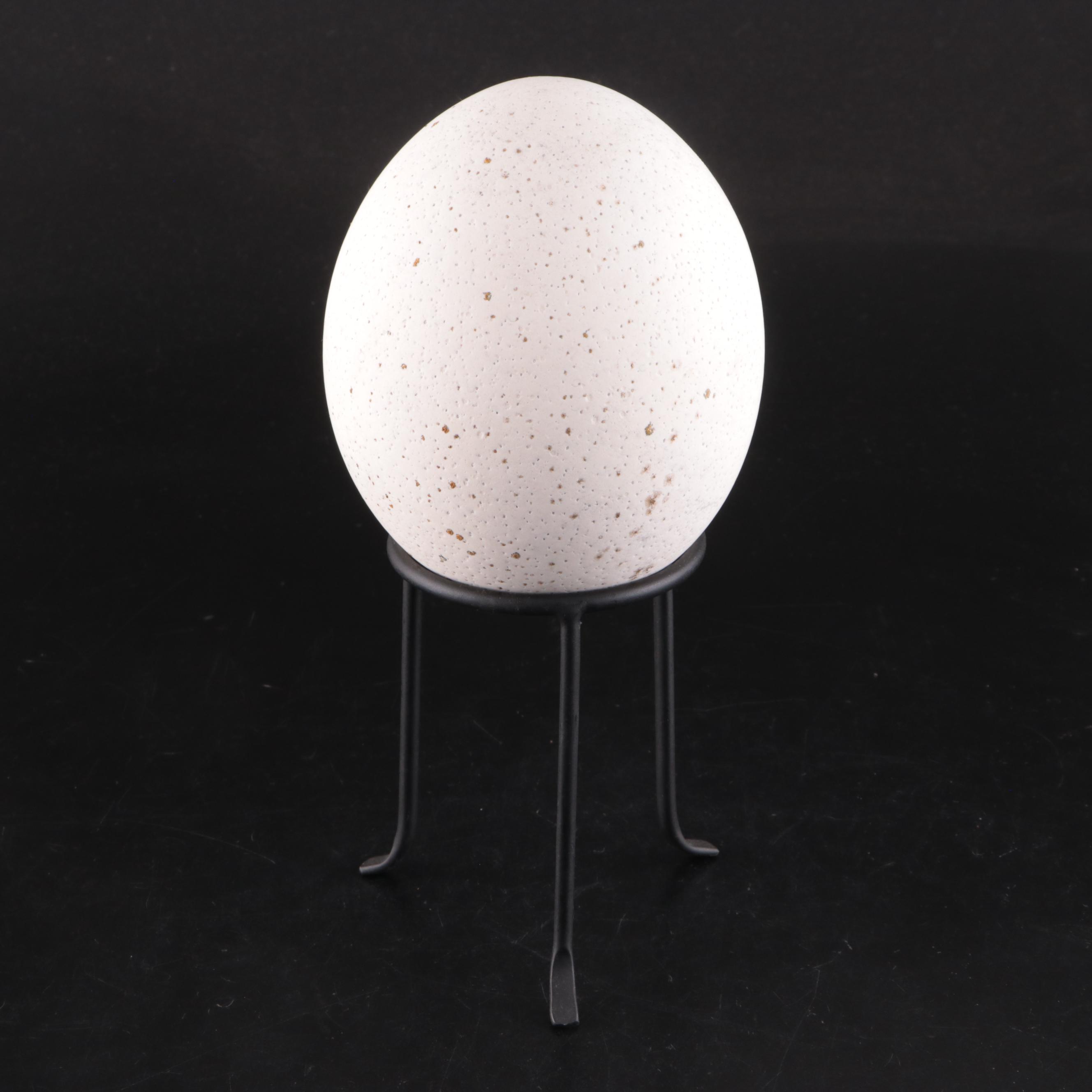 Ostrich Egg With Black Metal Stand