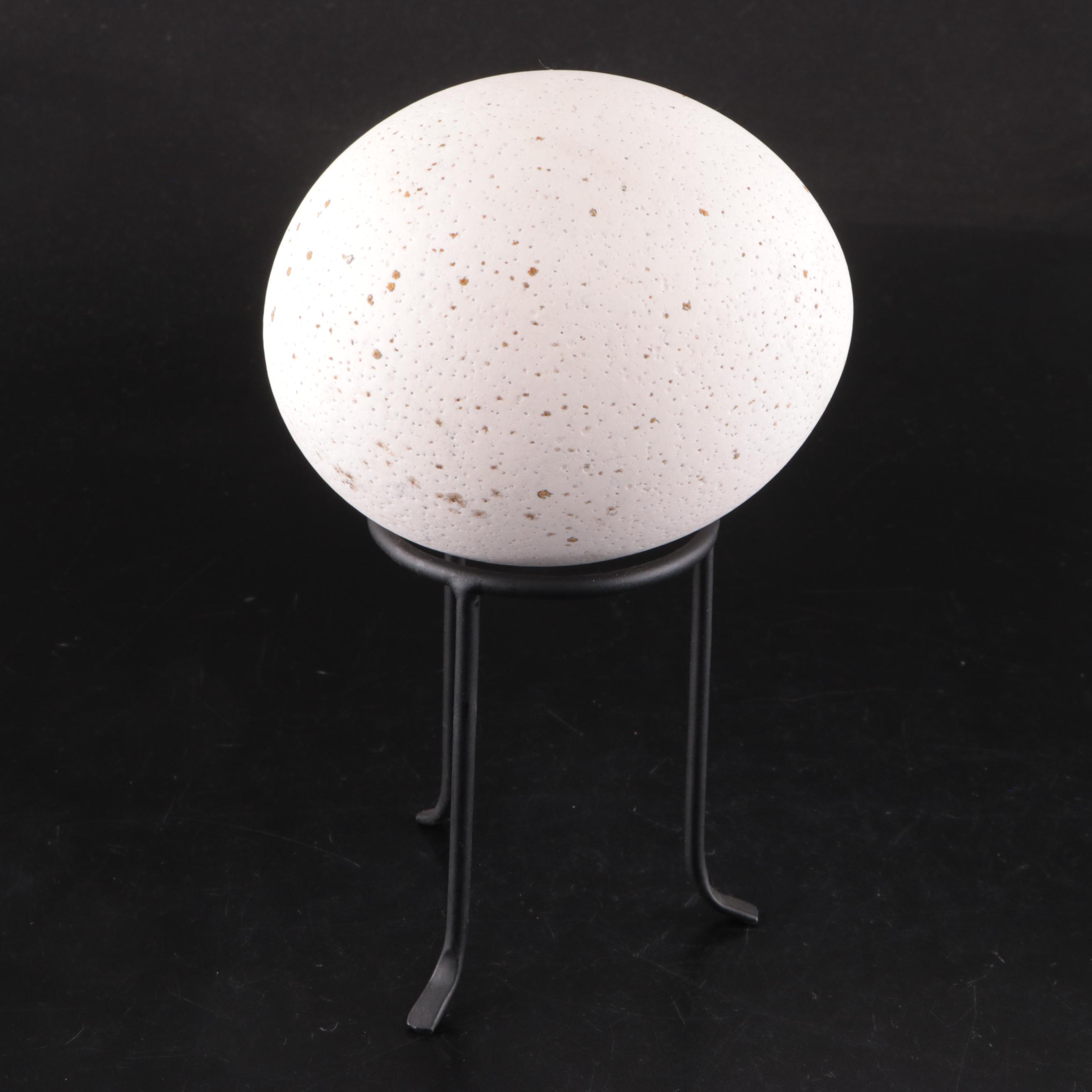 Ostrich Egg With Black Metal Stand