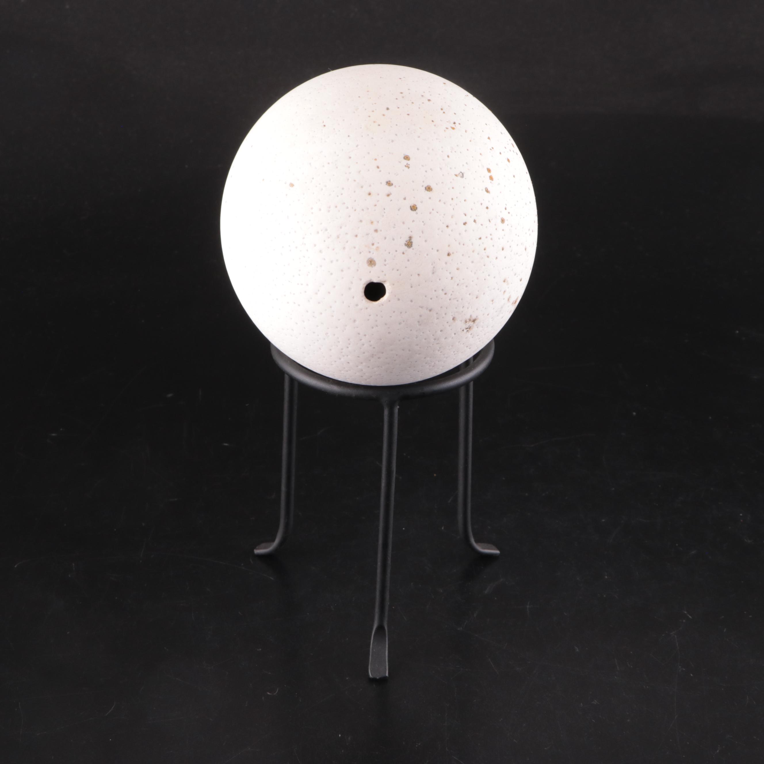 Ostrich Egg With Black Metal Stand