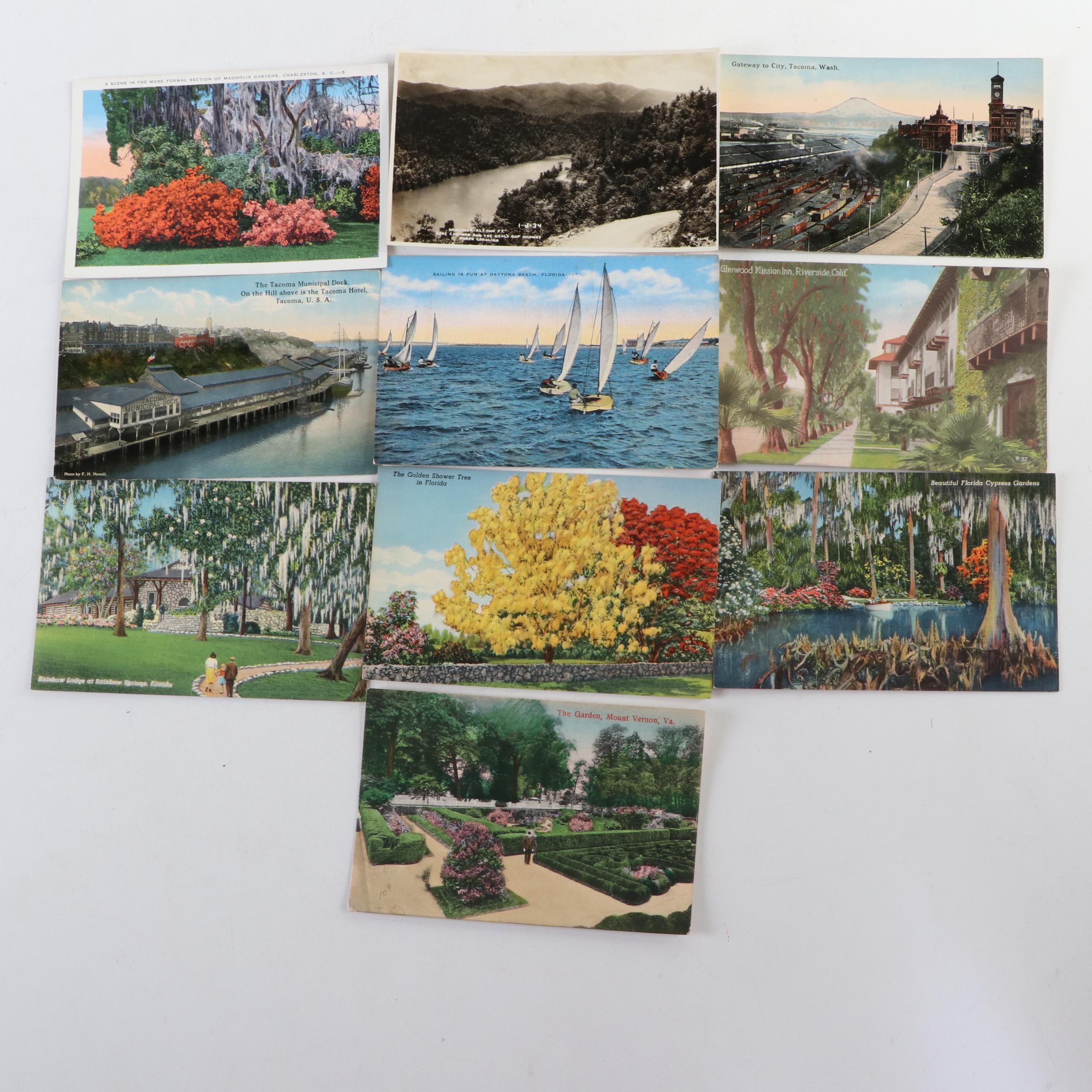 North Carolina, California, Virginia and Other Souvenir Postcards