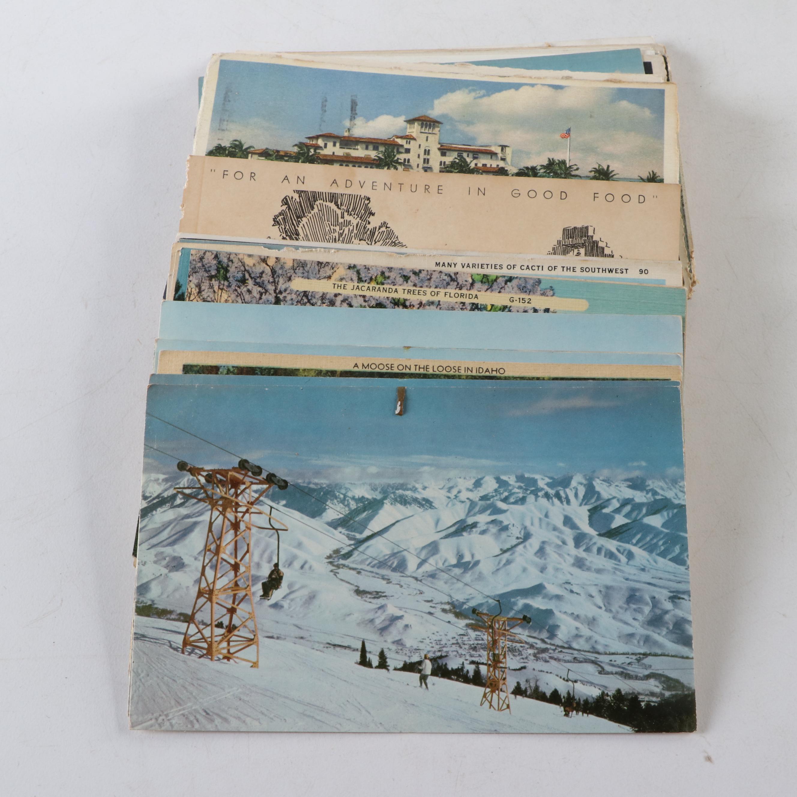 North Carolina, California, Virginia and Other Souvenir Postcards