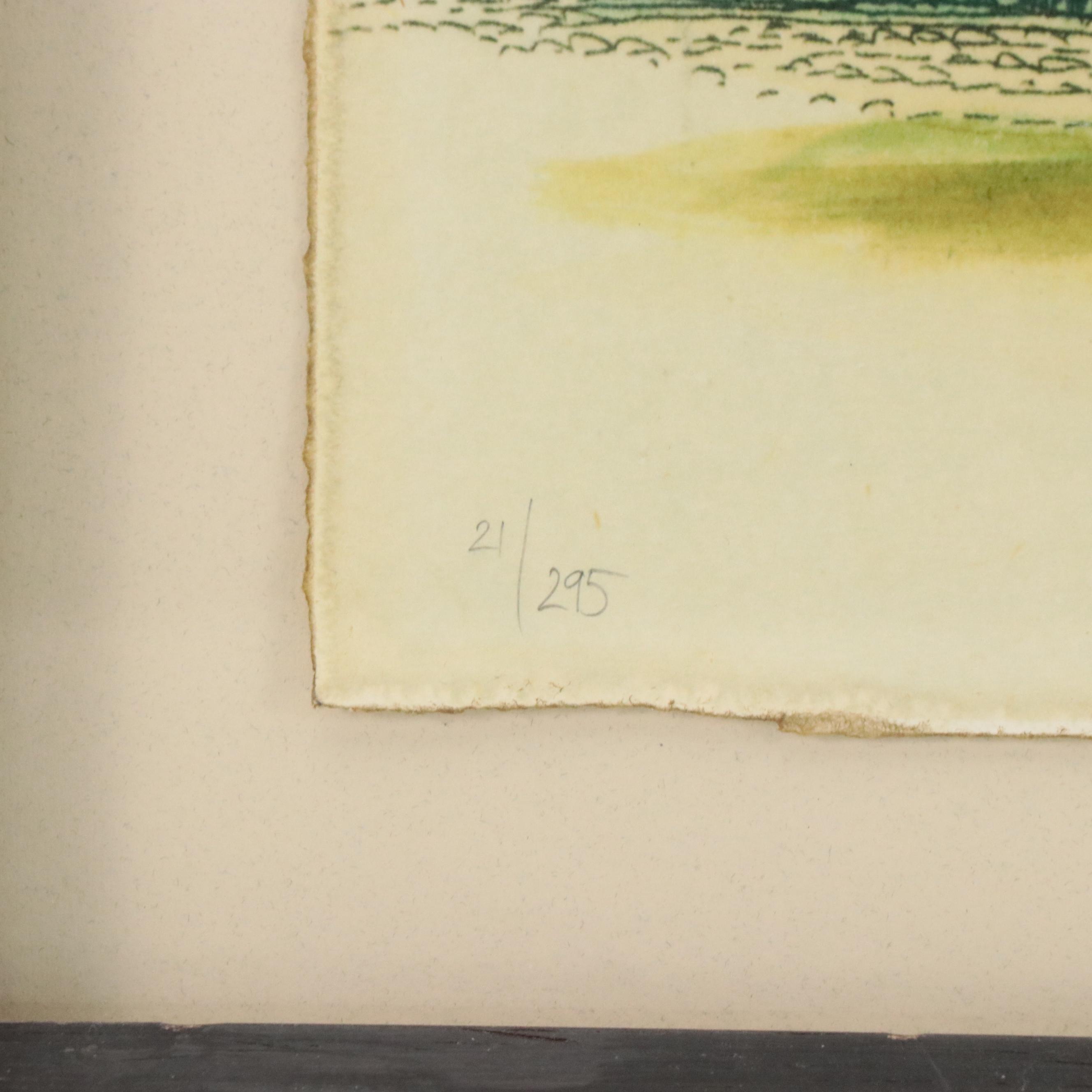 Trowbridge Museum Giclee Print Reproduction Engraving "Heron by Edwards"