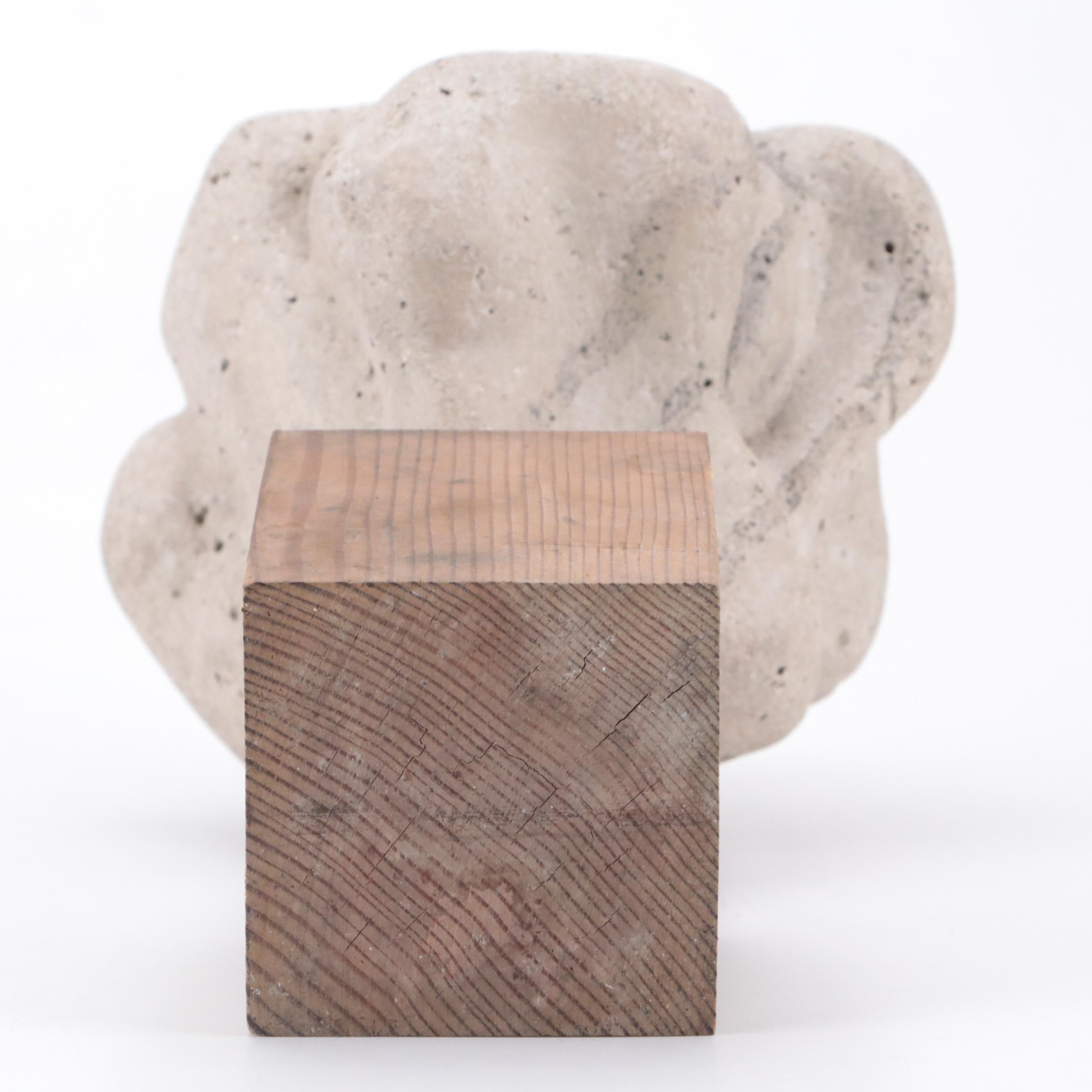 Abstract Amorphic Sculpture