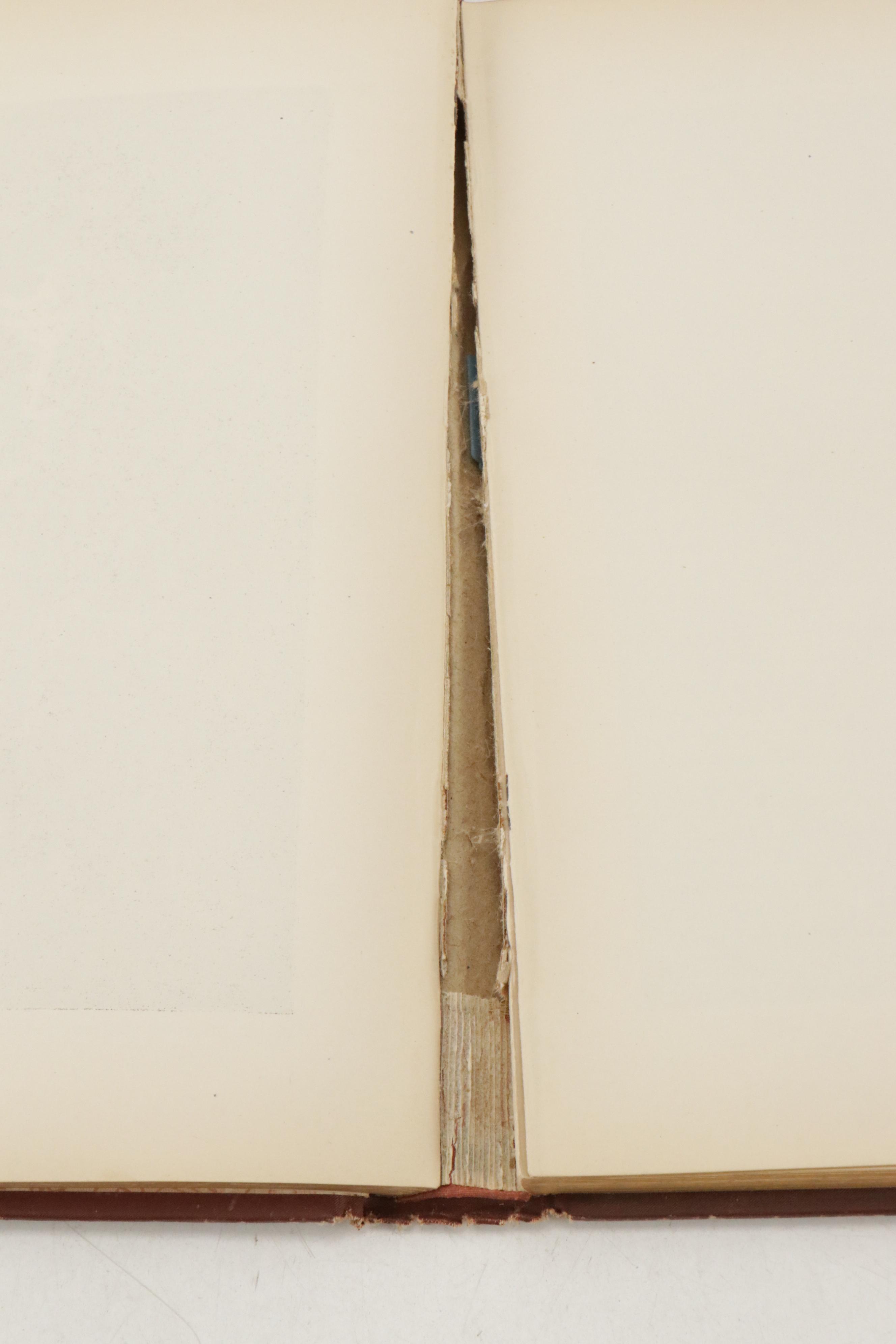 Illustrated "The Doré Bible Gallery" by Gustave Doré and More Books