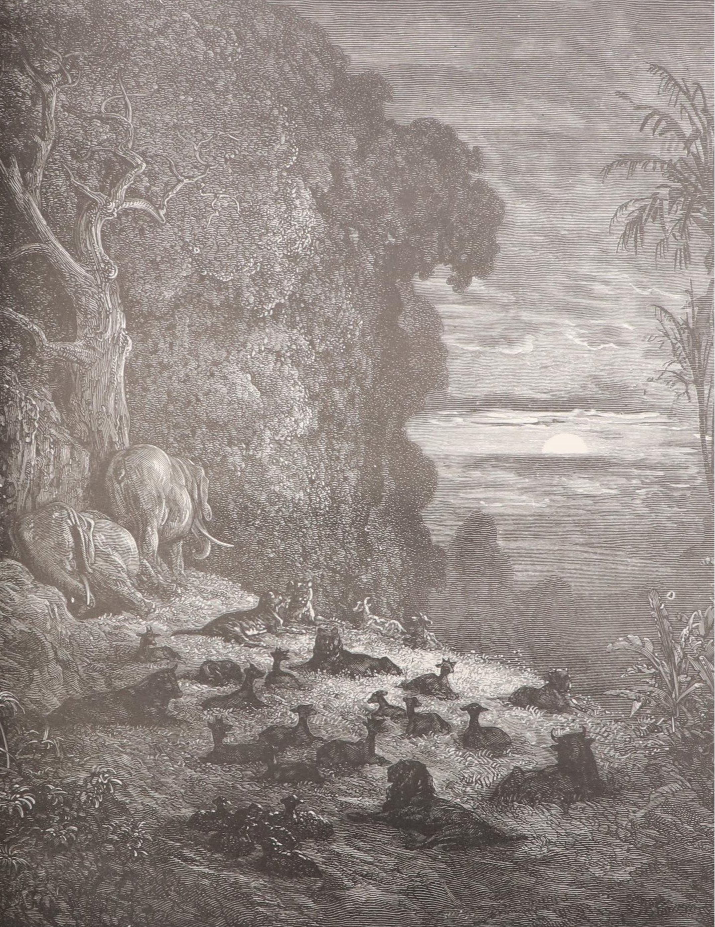 Gustave Doré Illustrated "Purgatory and Paradise" by Dante Alighieri and More