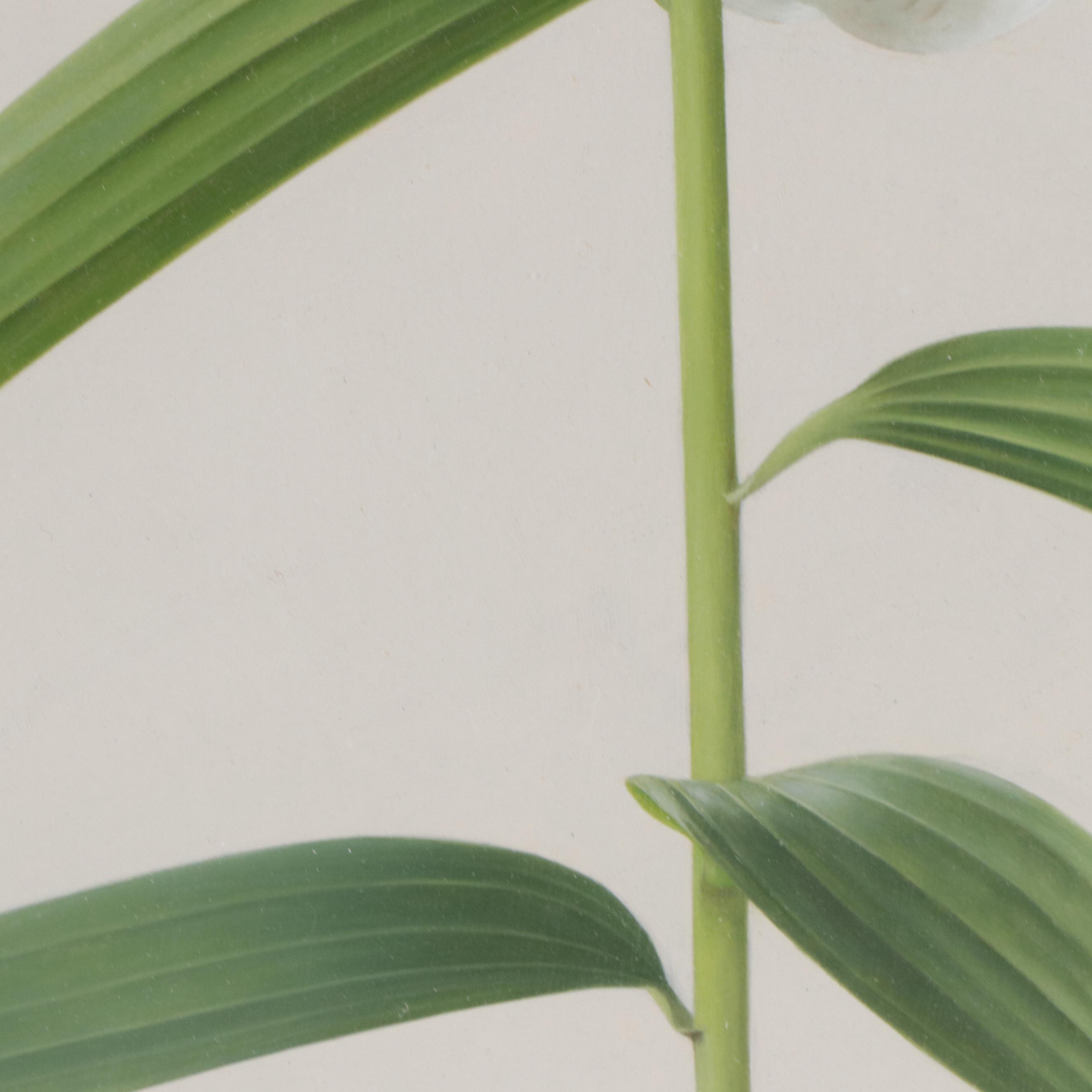 Gouache Painting of an Oriental Lily