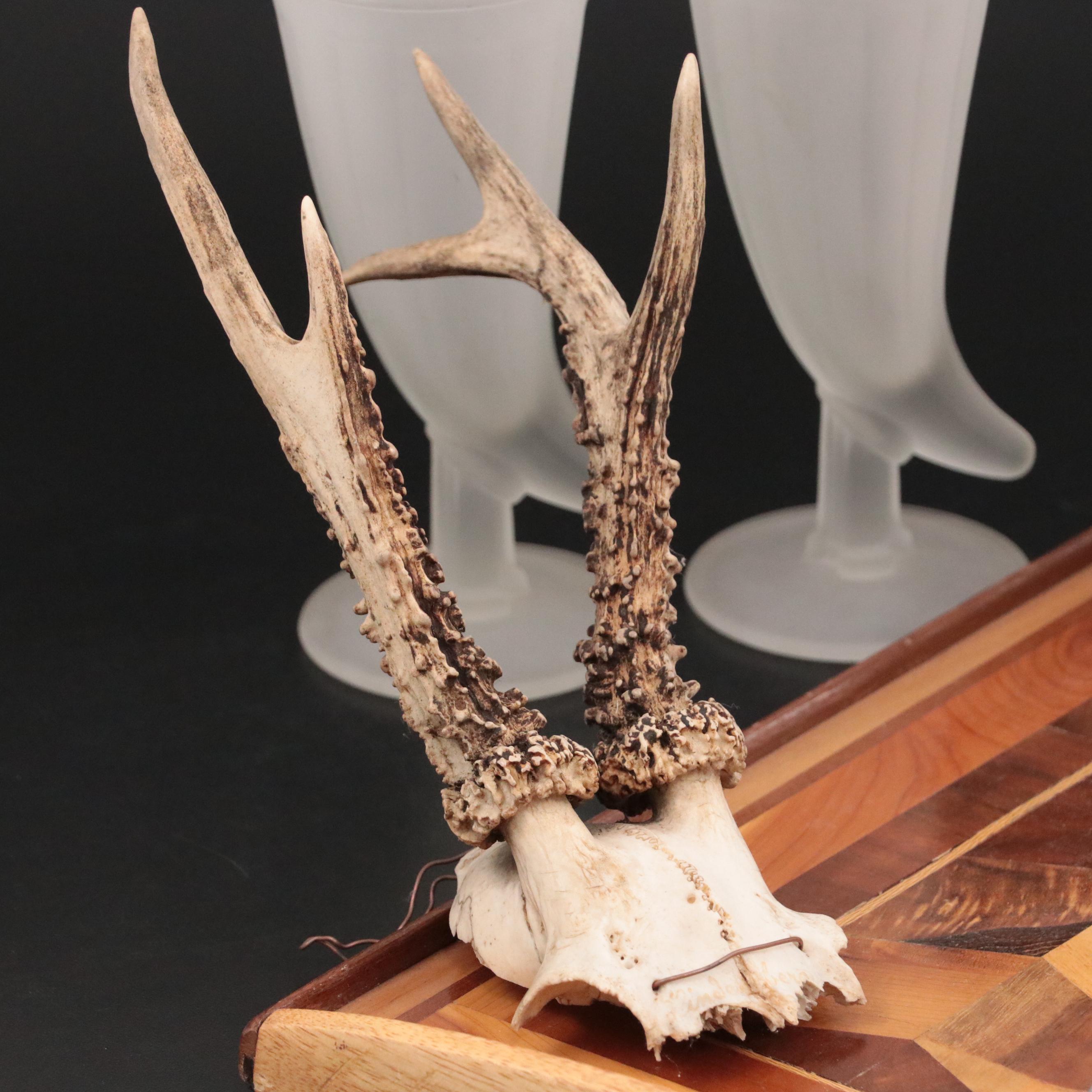 Frosted Glass Drinking Horns, Steel Short Sword, and More