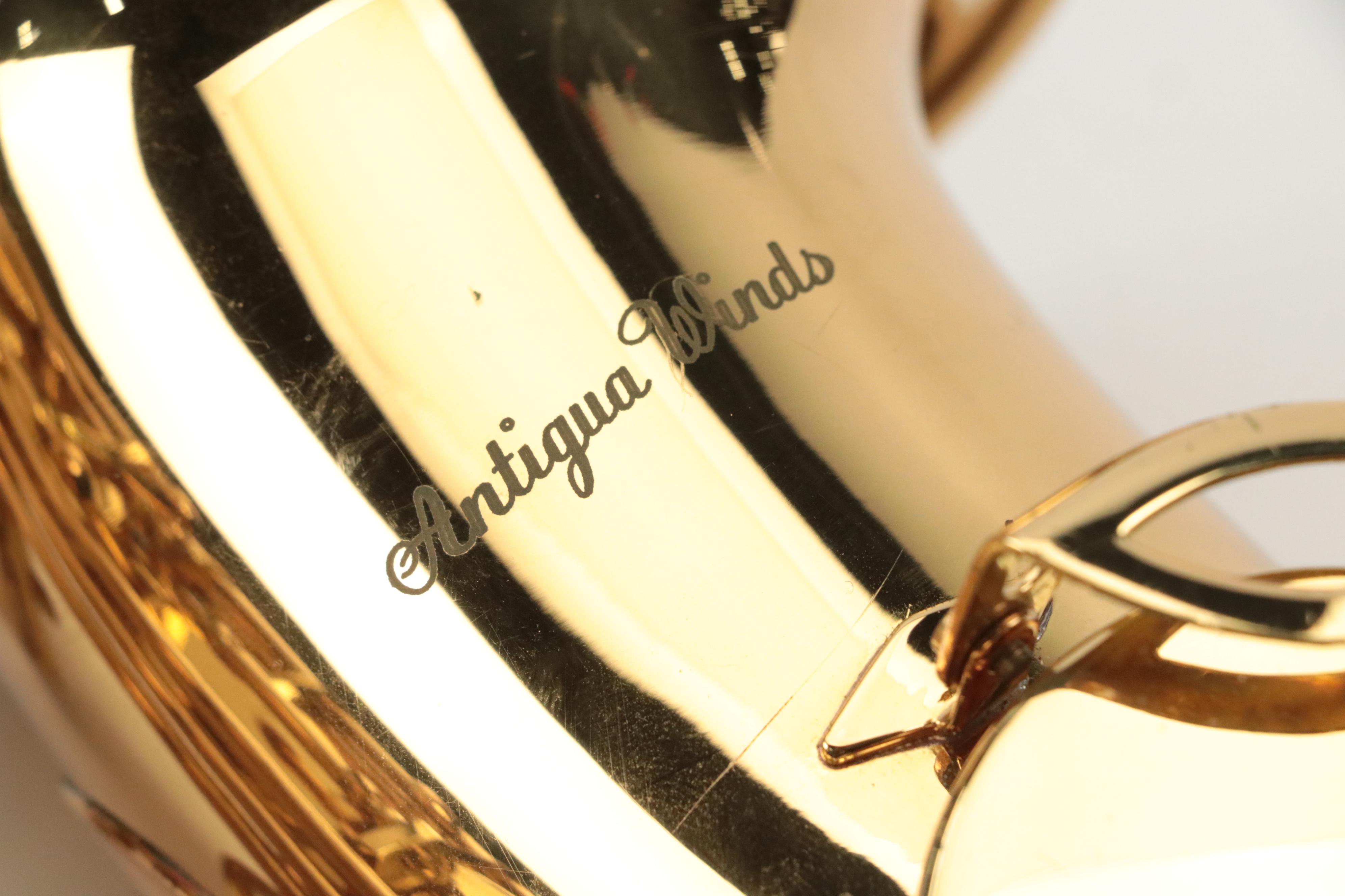 Antigua Winds Lacquered Brass Professional Alto Saxophone in Hardside Case