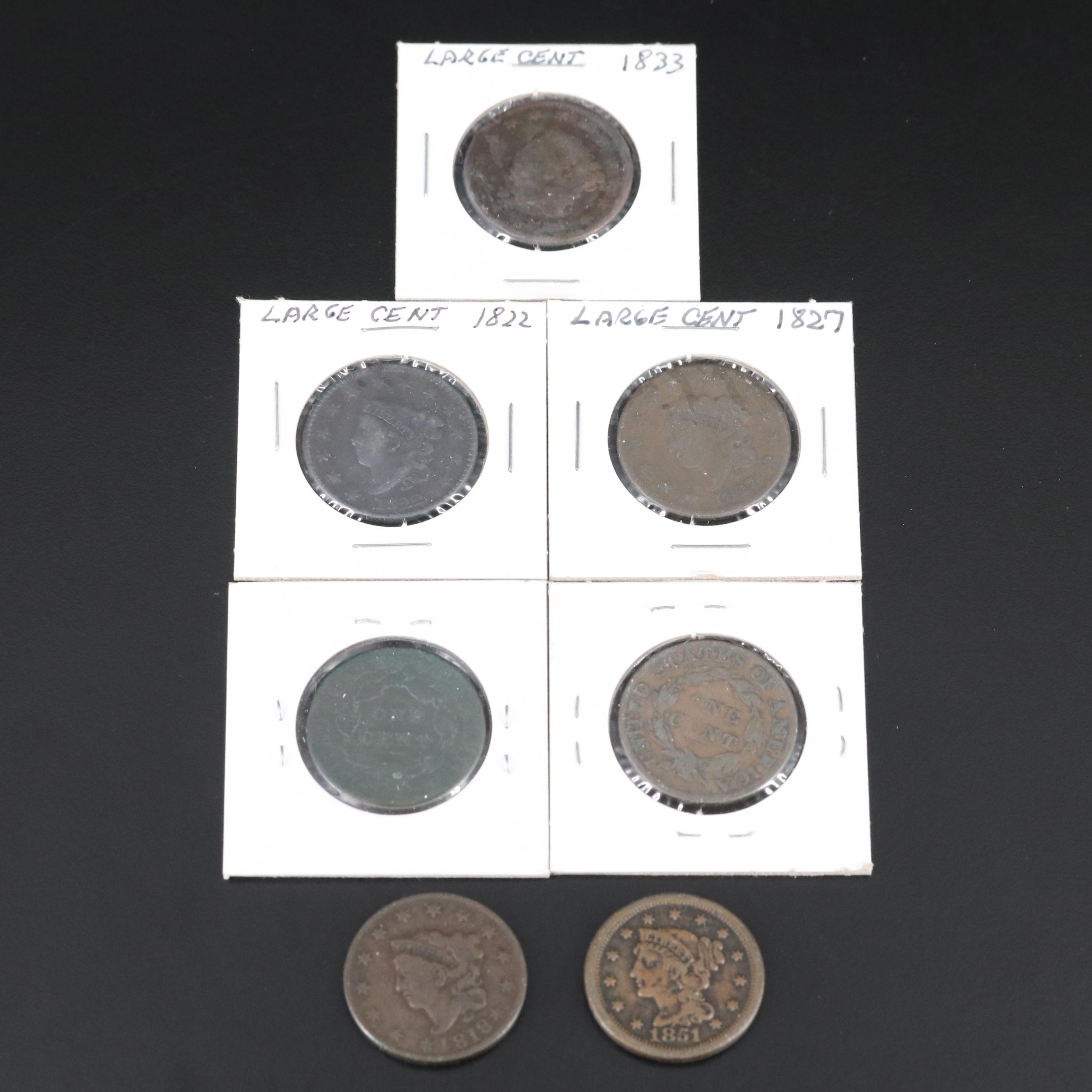 Group of Seven United States Large Cents