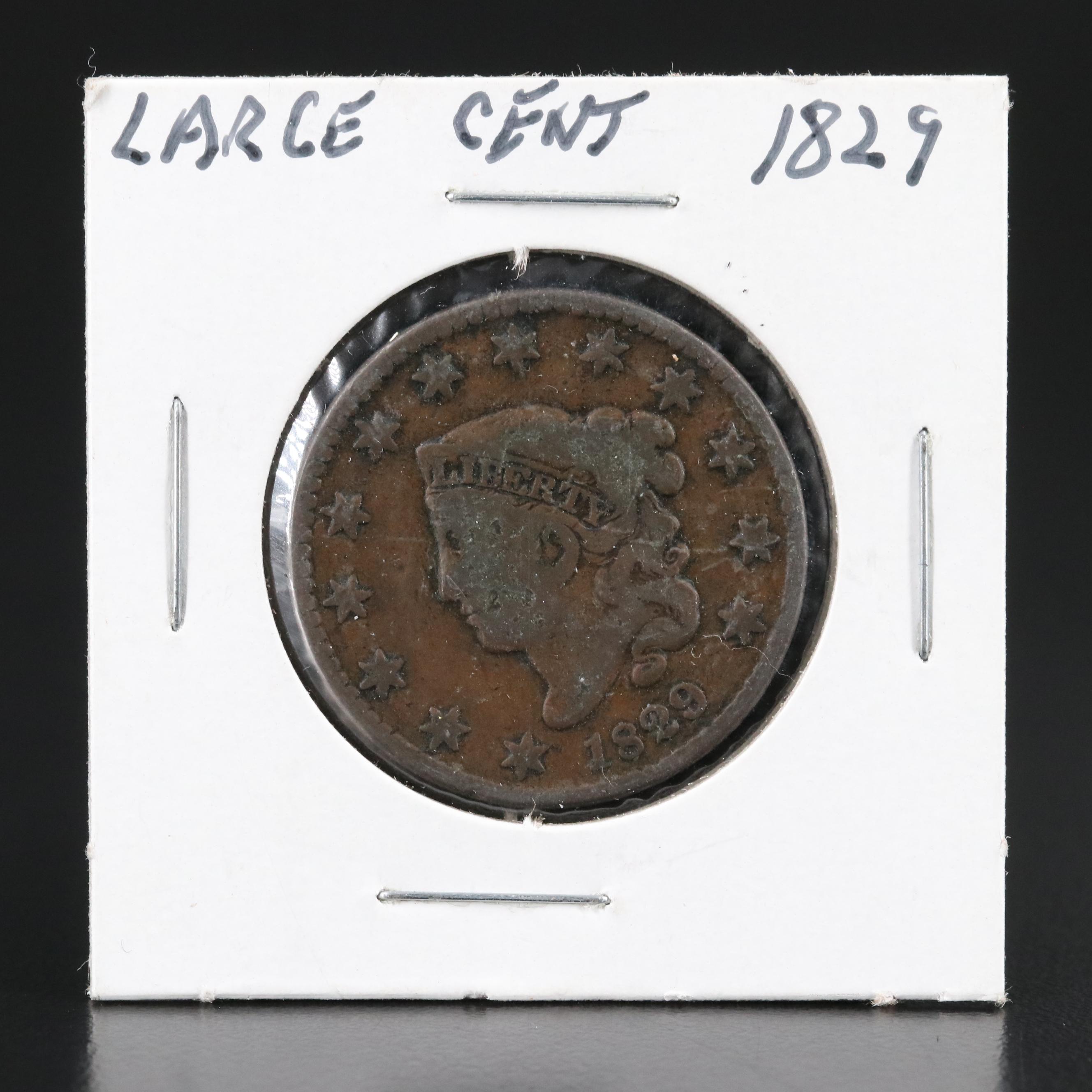 Group of Seven United States Large Cents