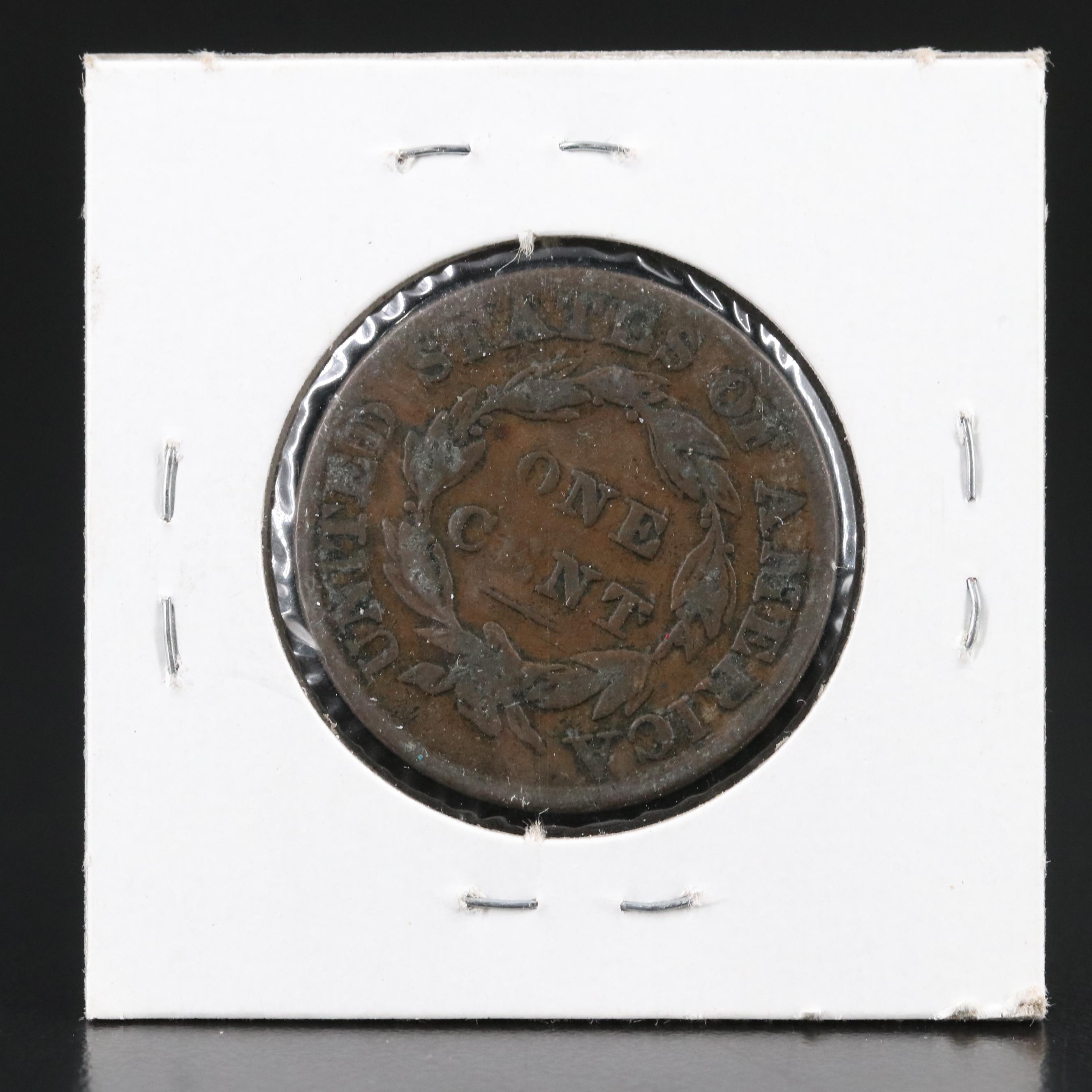 Group of Seven United States Large Cents