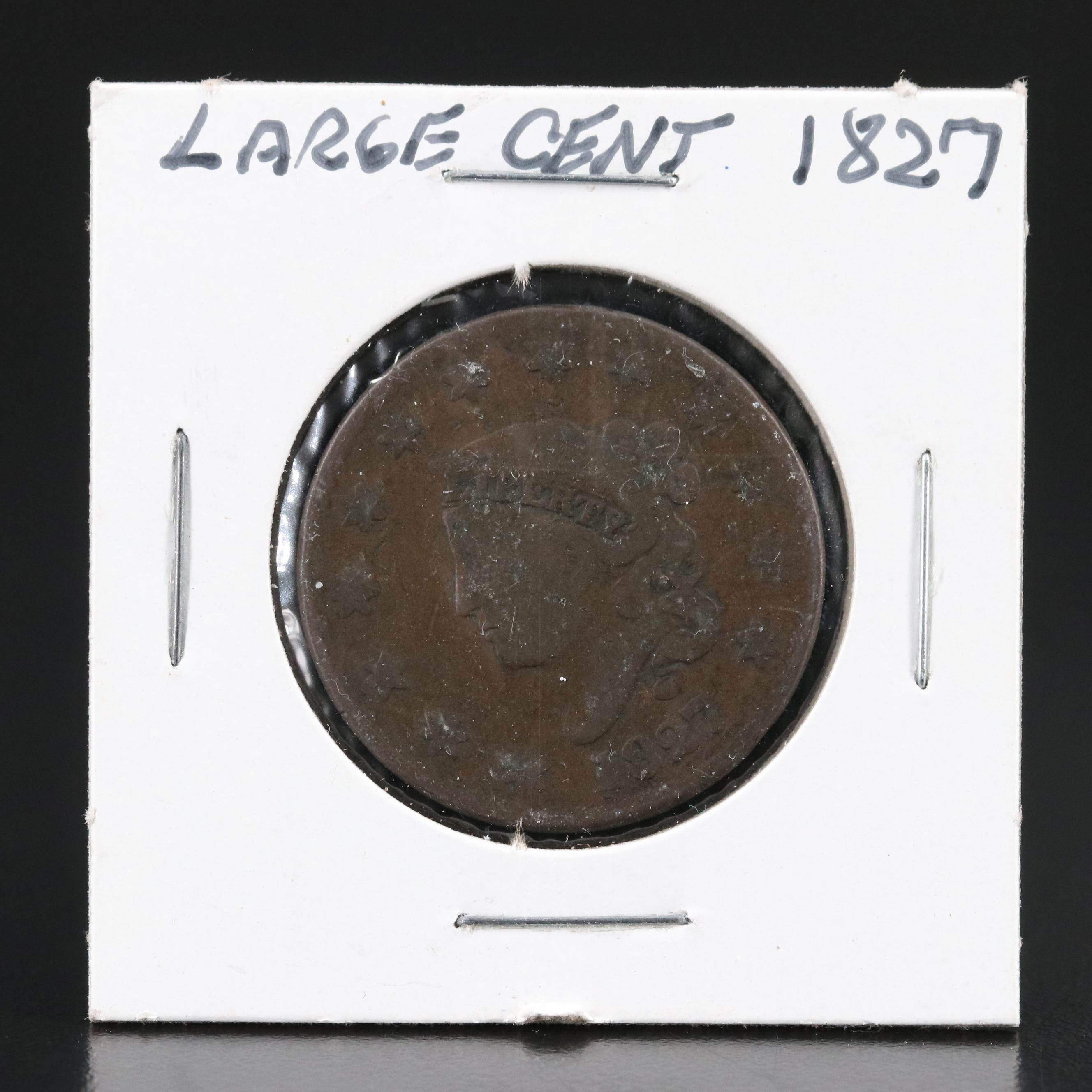 Group of Seven United States Large Cents