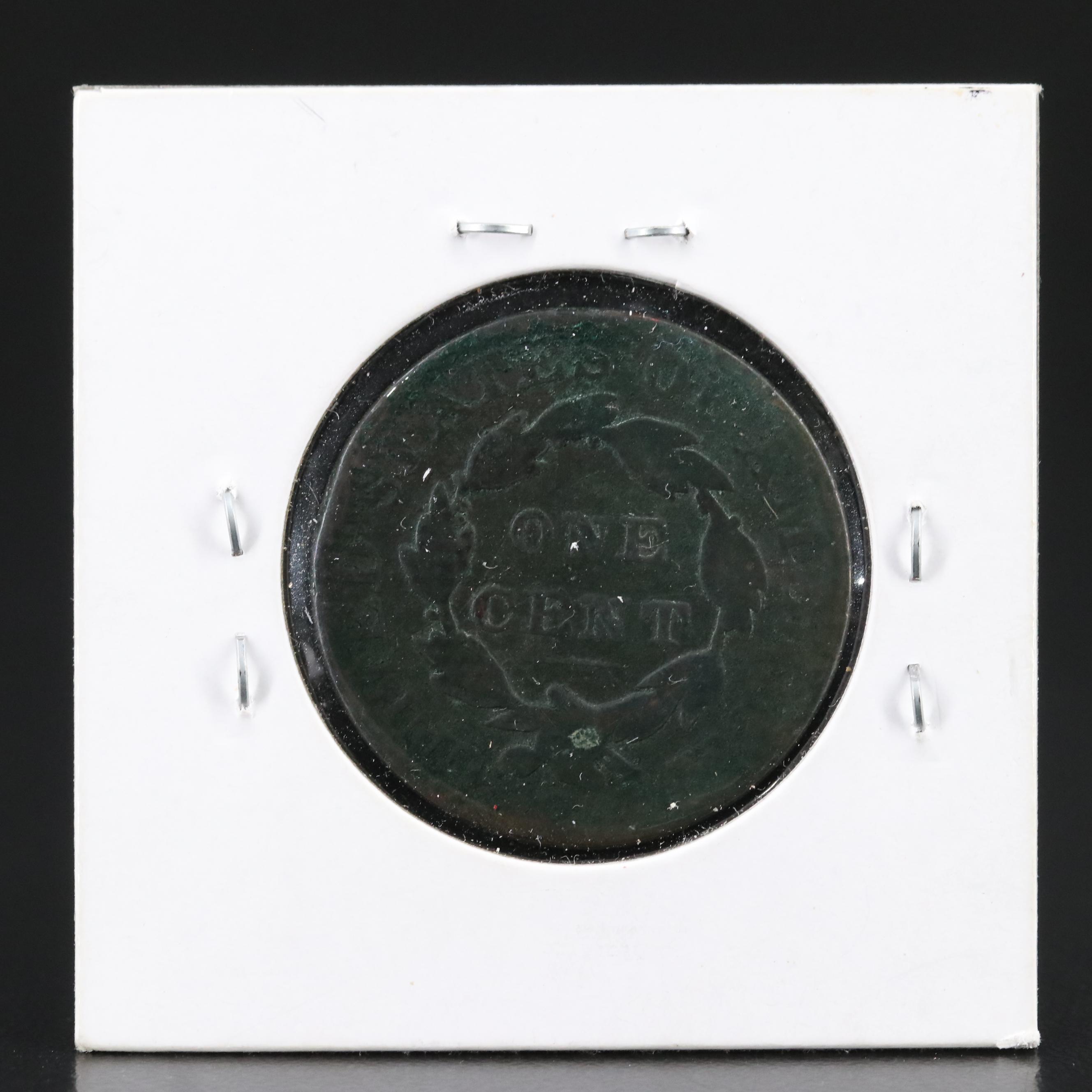 Group of Seven United States Large Cents