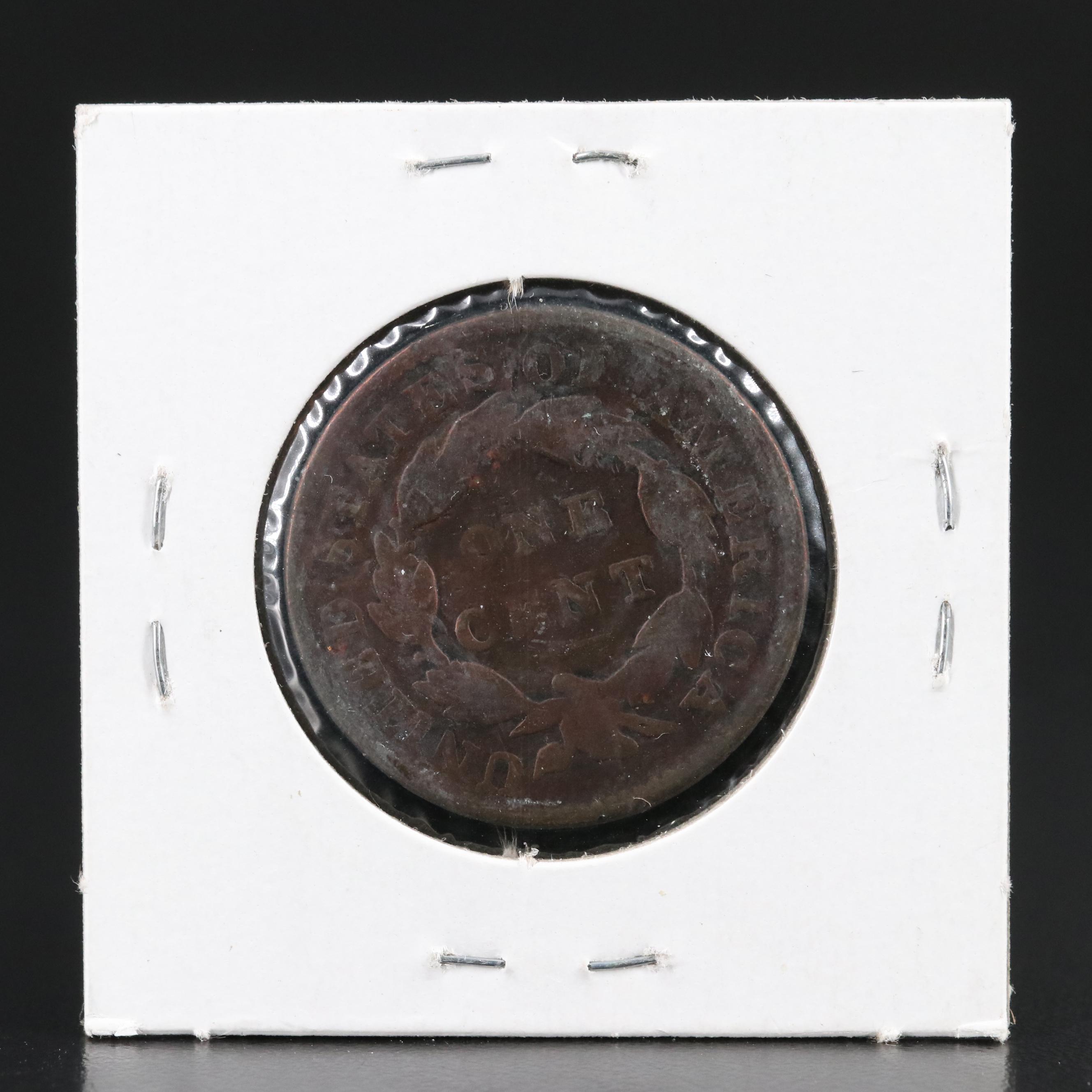 Group of Seven United States Large Cents