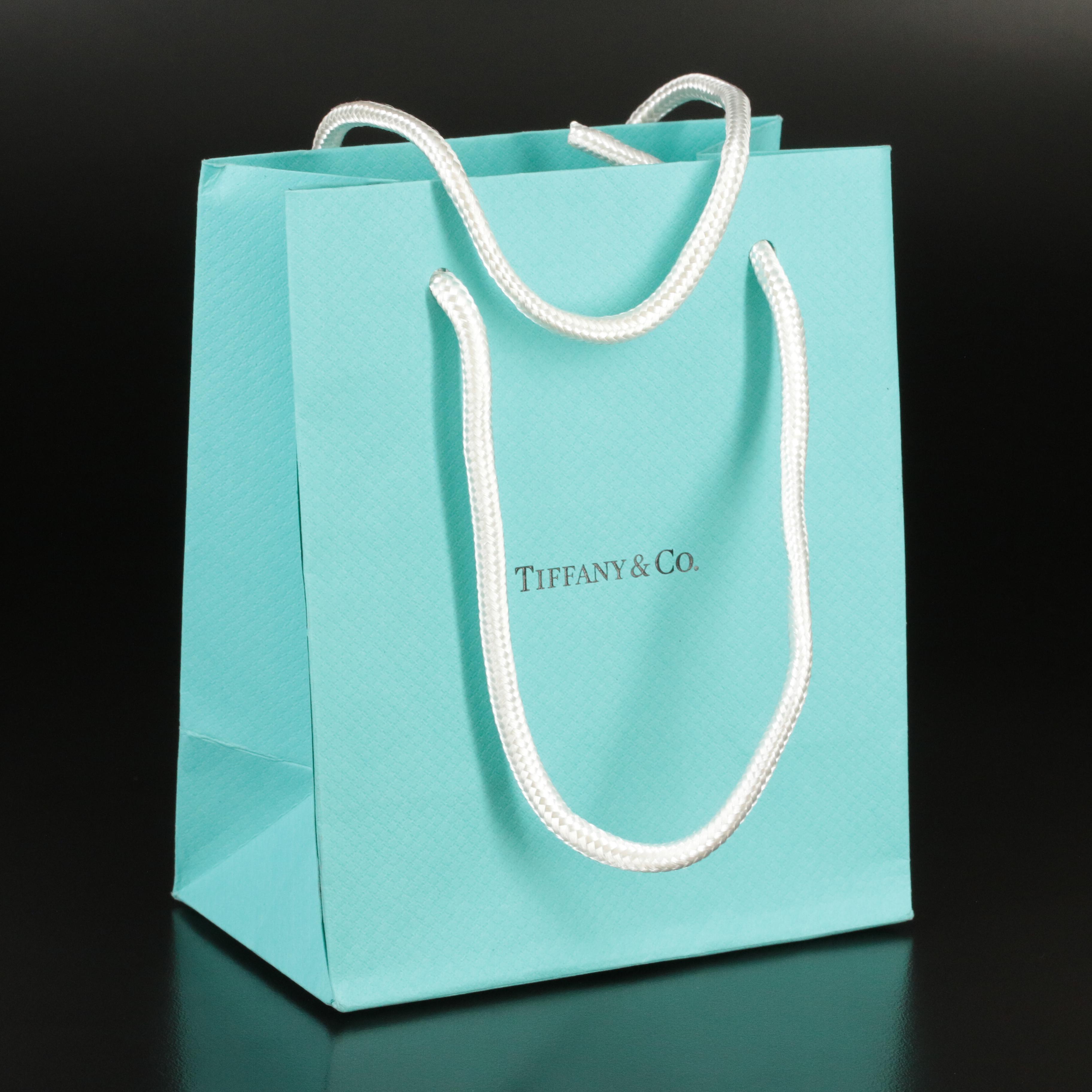 Tiffany & Co. "1837" Sterling Interlocking Circle Clasp Necklace