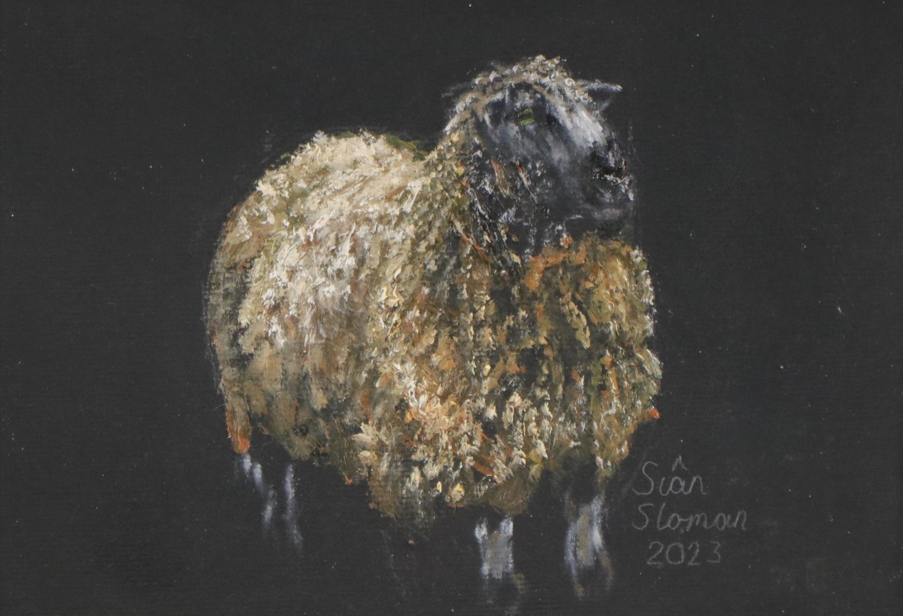 Siân Sloman Oil Painting of Sheep, 2023