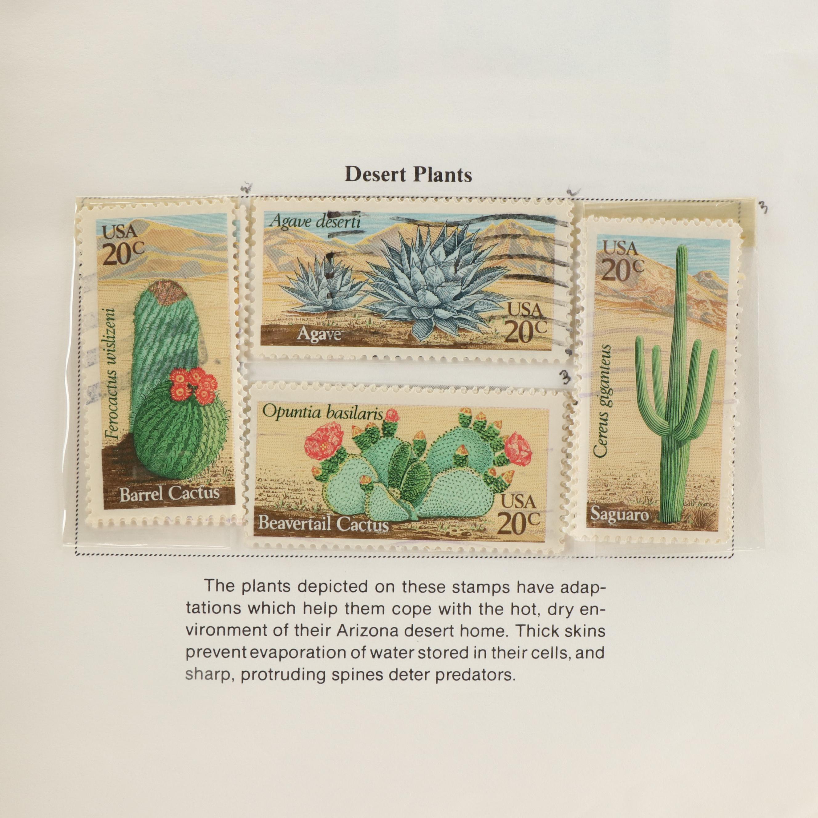 Three U.S. Postage Stamp Albums