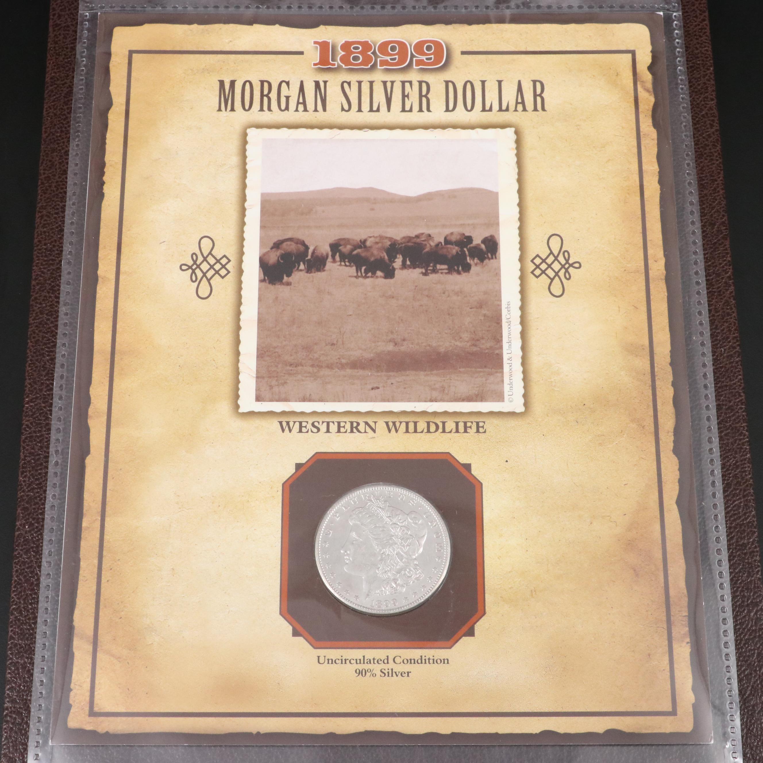 "Uncirculated Morgan Silver Dollars of the 19th Century" Coin Set