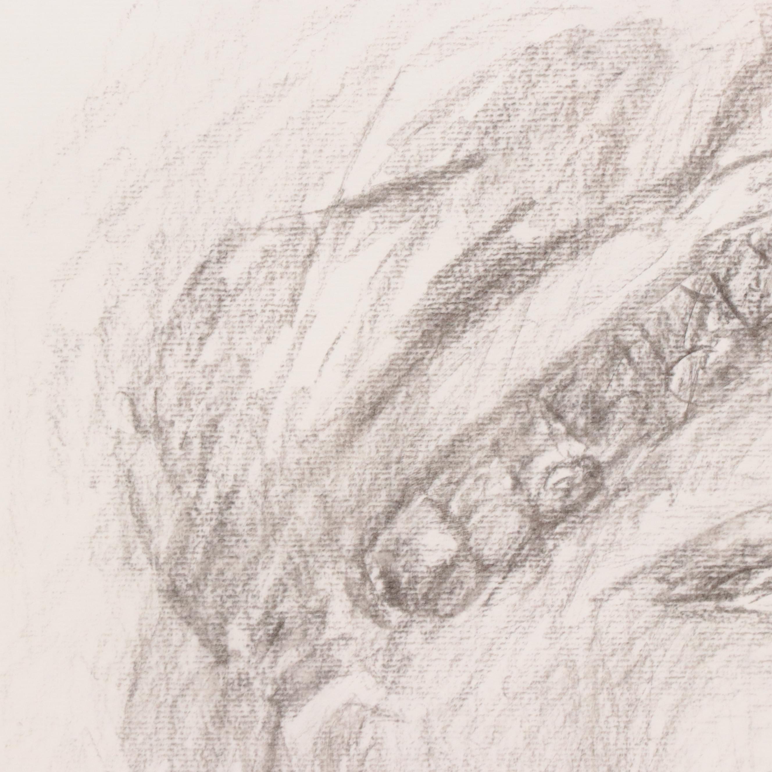 Graphite Drawing Study of a Portrait Sculpture