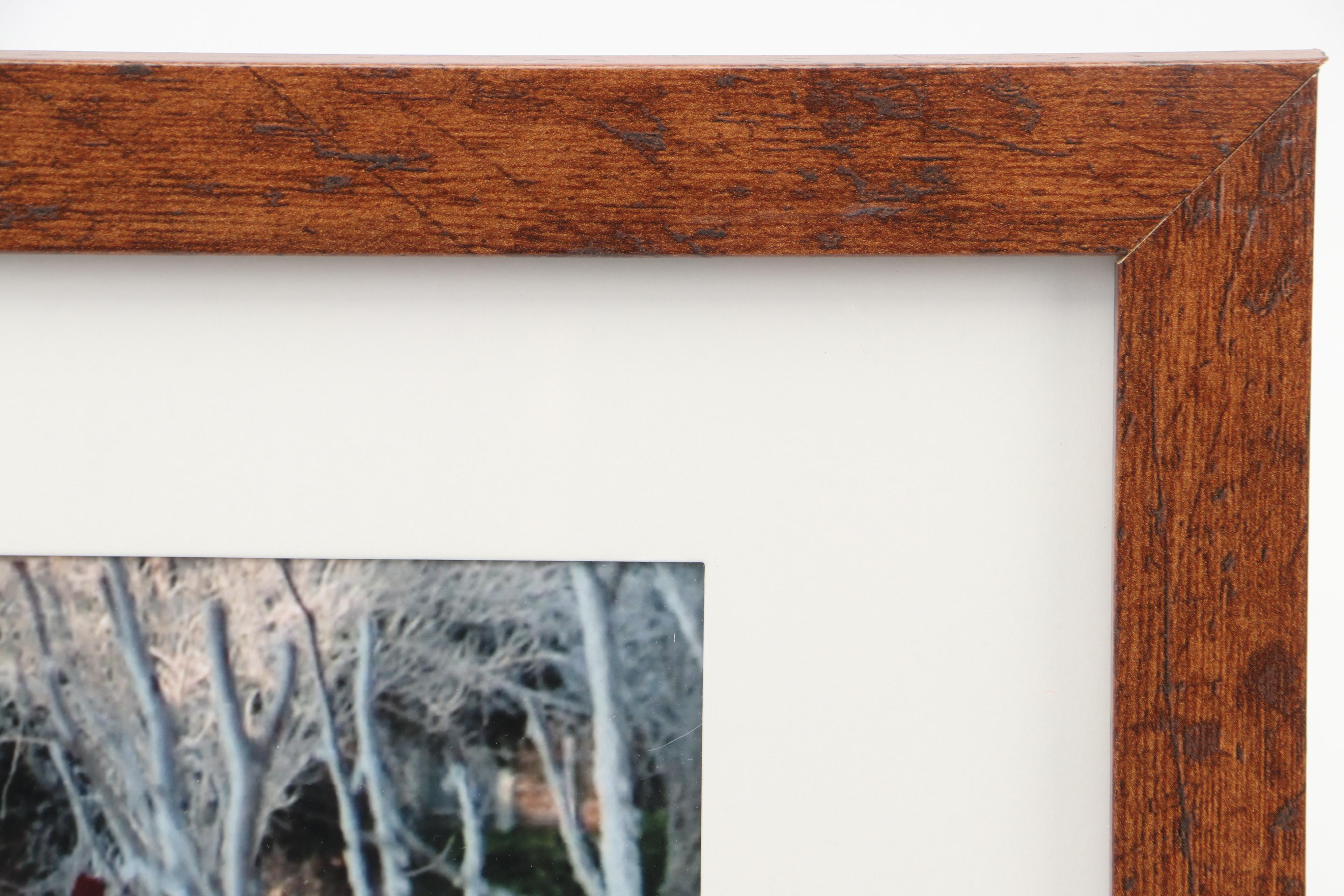 Randy Quaid Signed "Christmas Vacation" Cousin Eddie Print in Matted Frame