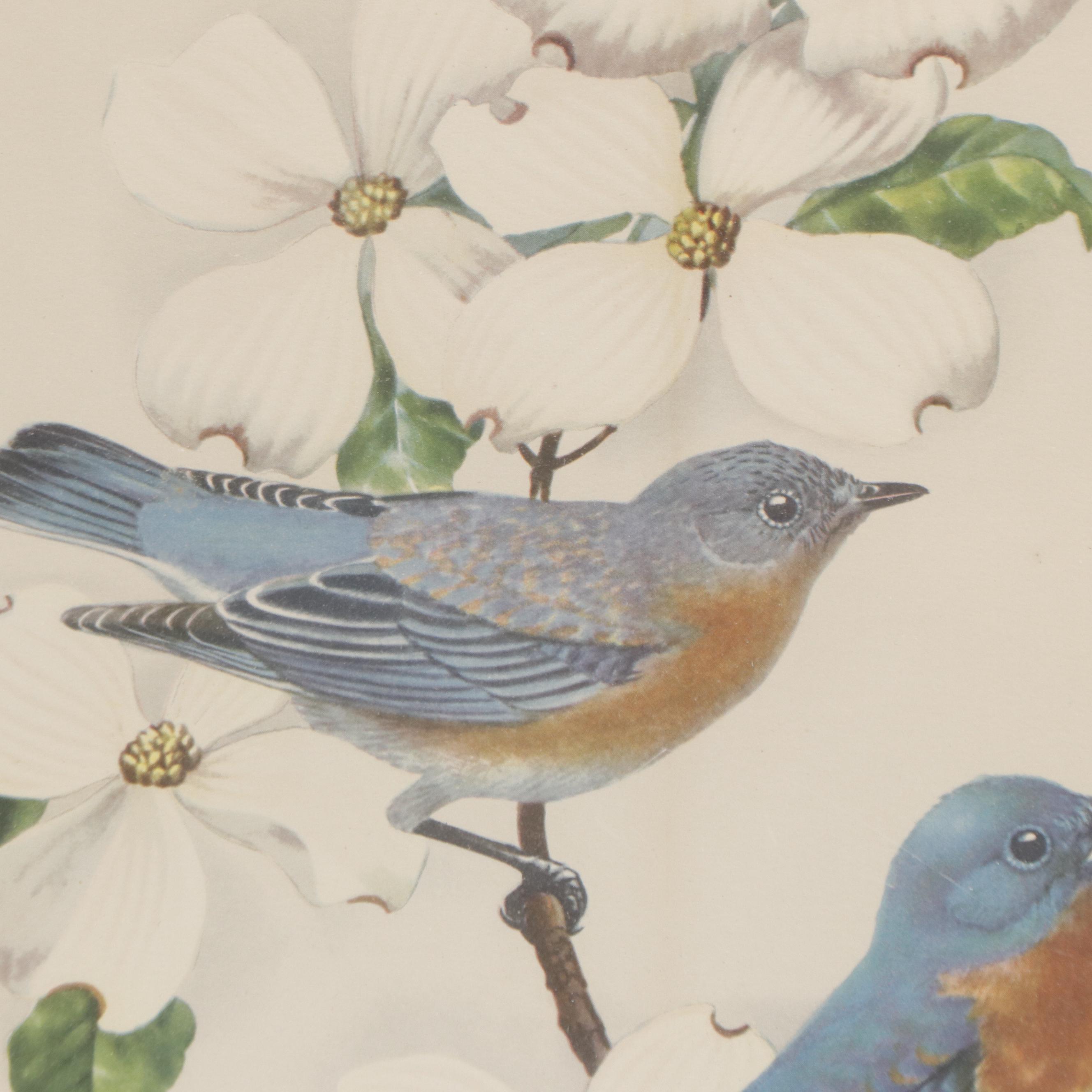 Offset Lithograph After James Gordon Irving "Blue Birds and Dogwood"