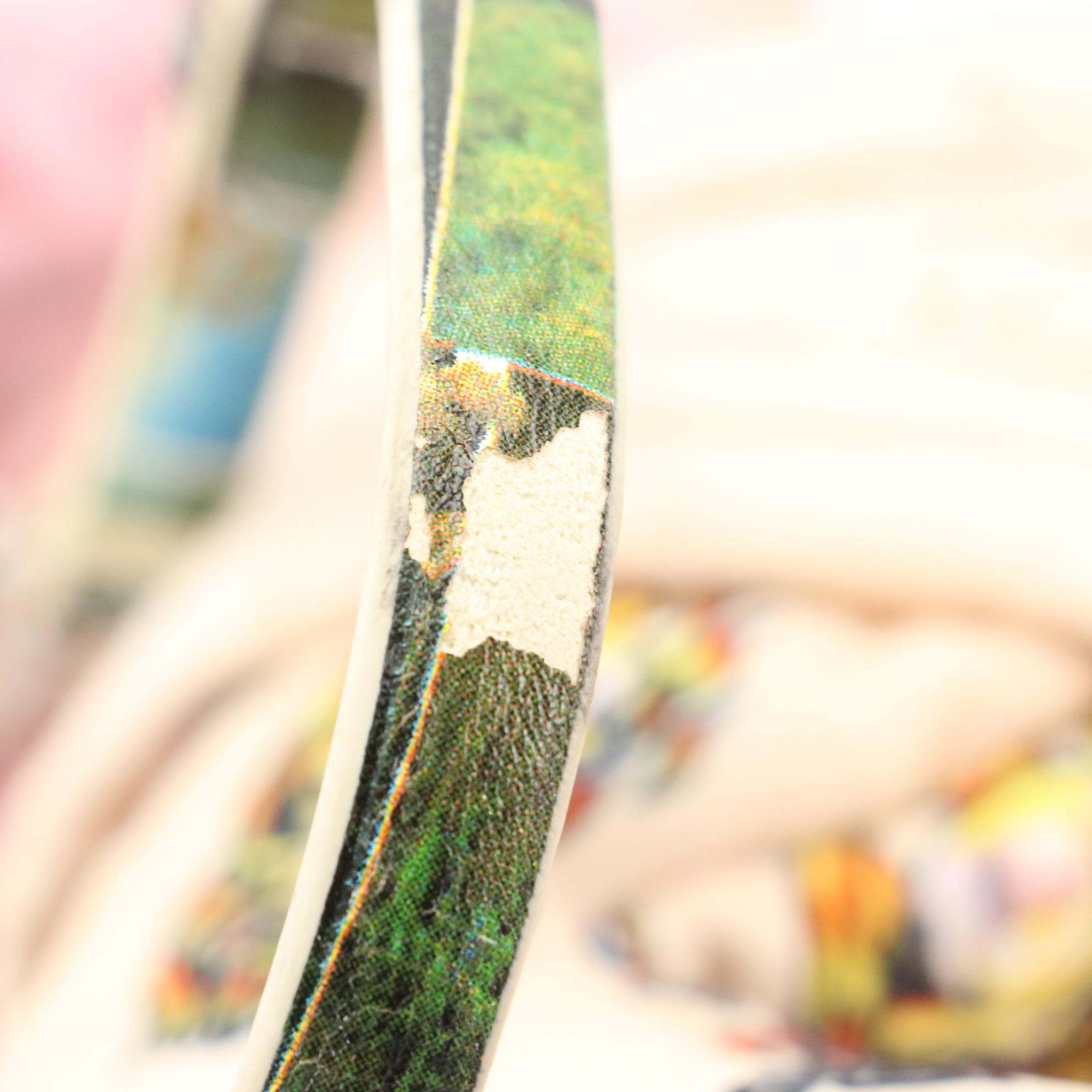 Fuzzy Nation Limited Edition Punk Rocker Chinese Crested Betsey J Puppy Dog Bag