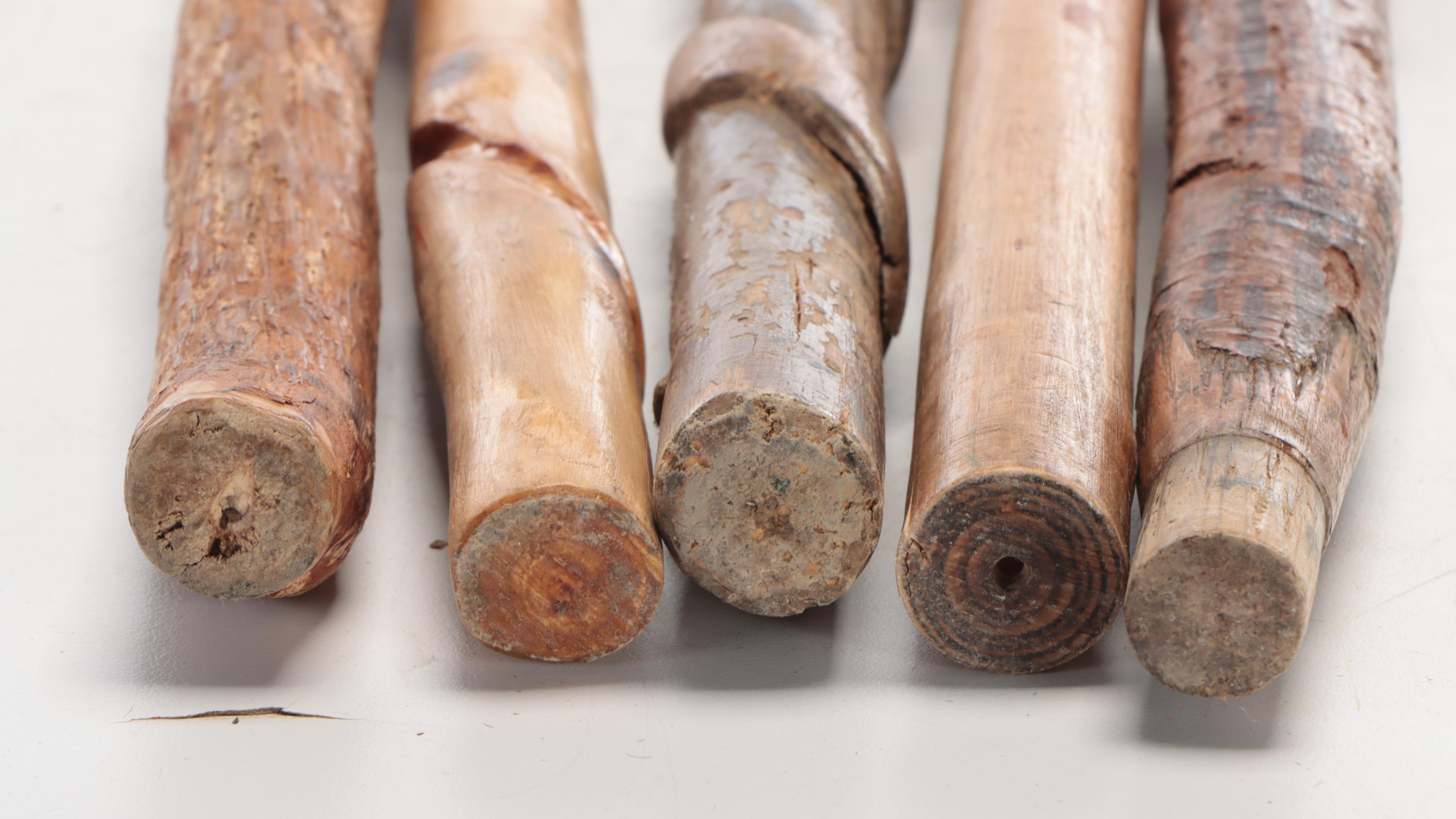 Twisted Vine and Carved Wood Walking Sticks