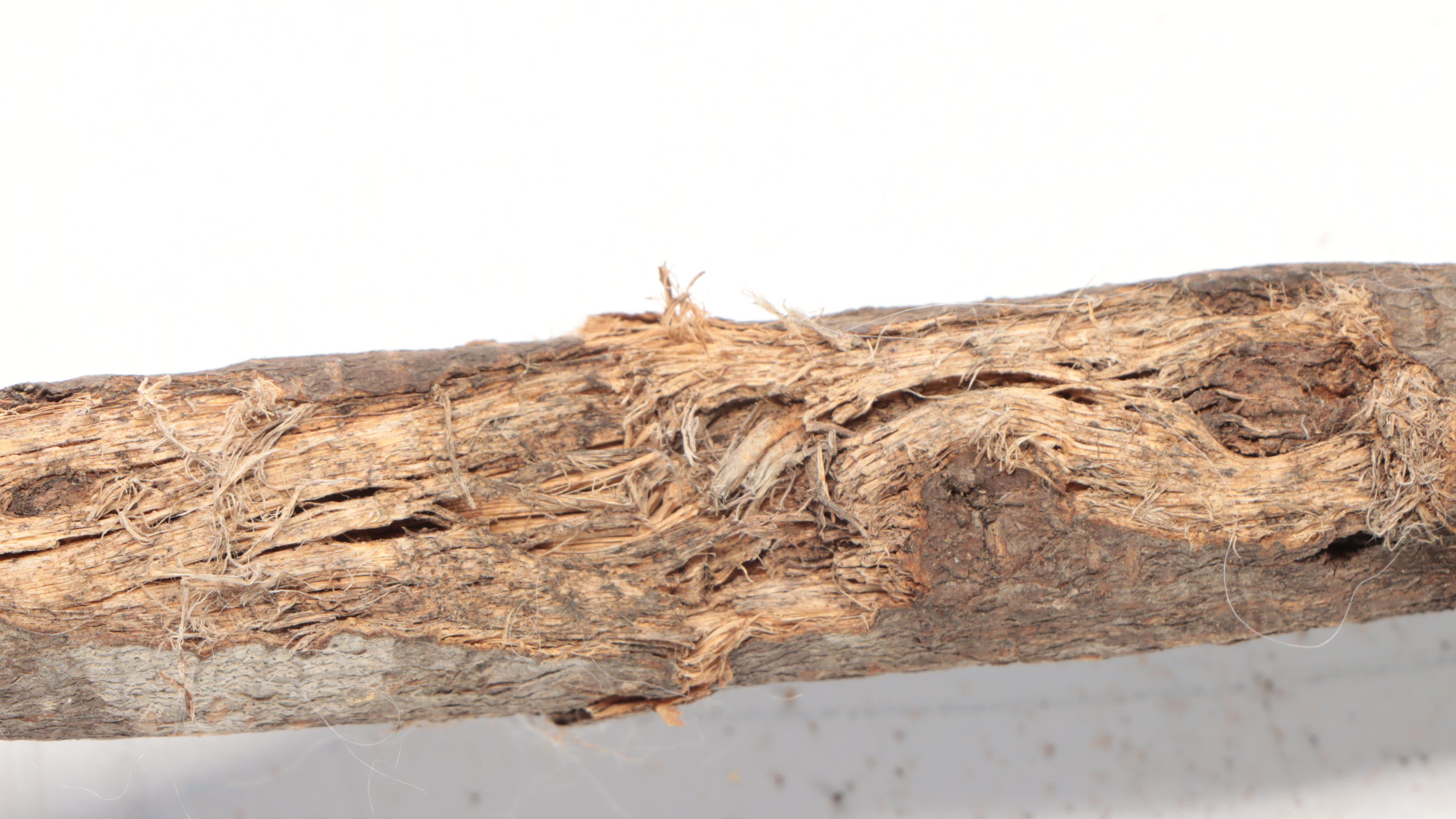 Hand-Crafted Twisted Vine Walking Sticks and Thornwood Cane