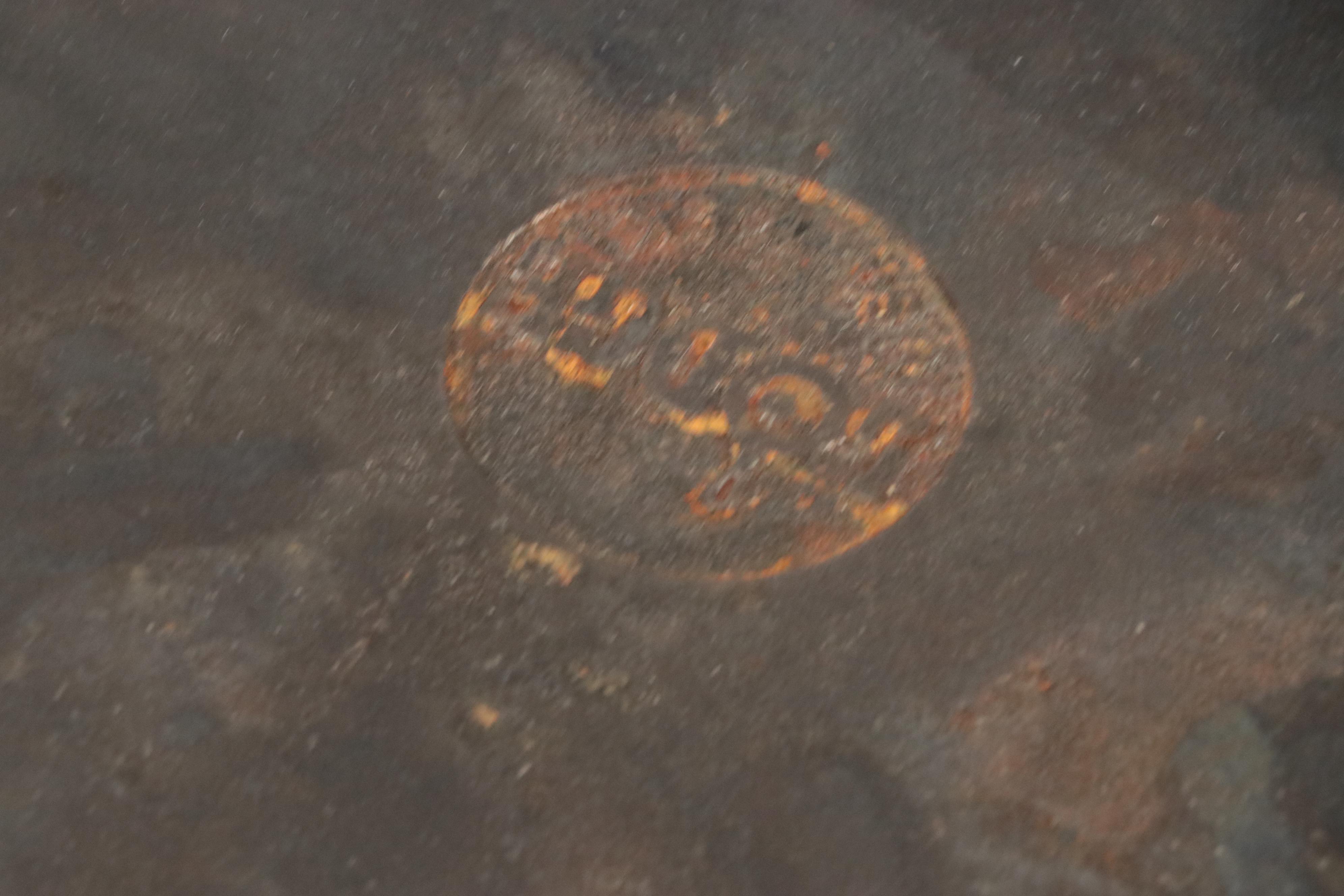 Lodge Cast Iron Pans