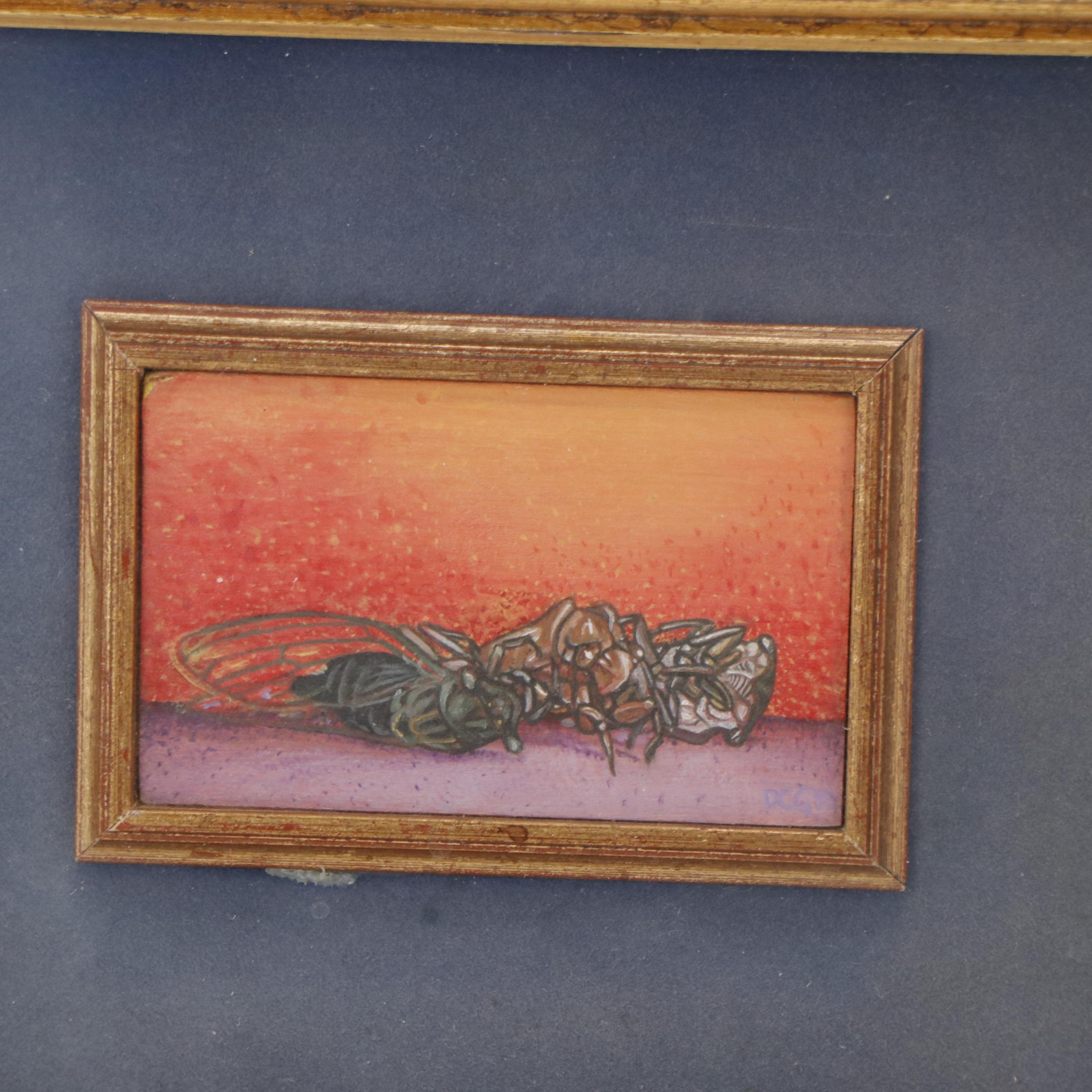 David C. Greene Small-Scale Oil Paintings of Insects and Nebula