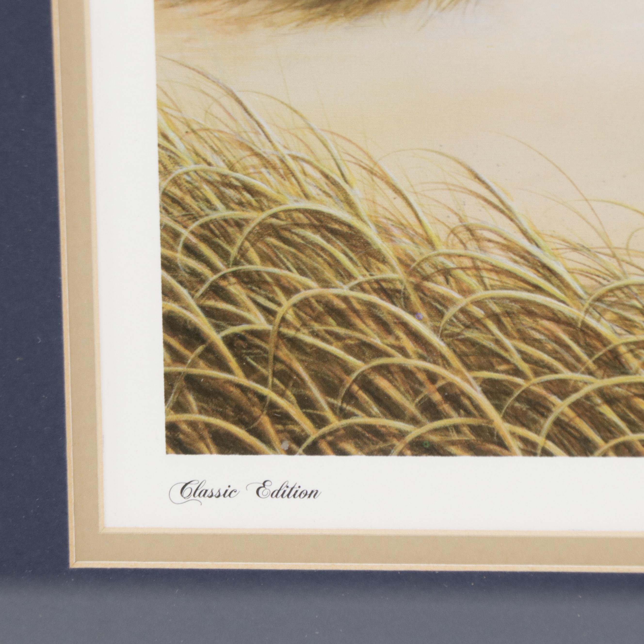 Offset Lithograph After Jim Booth "Evening Tide"