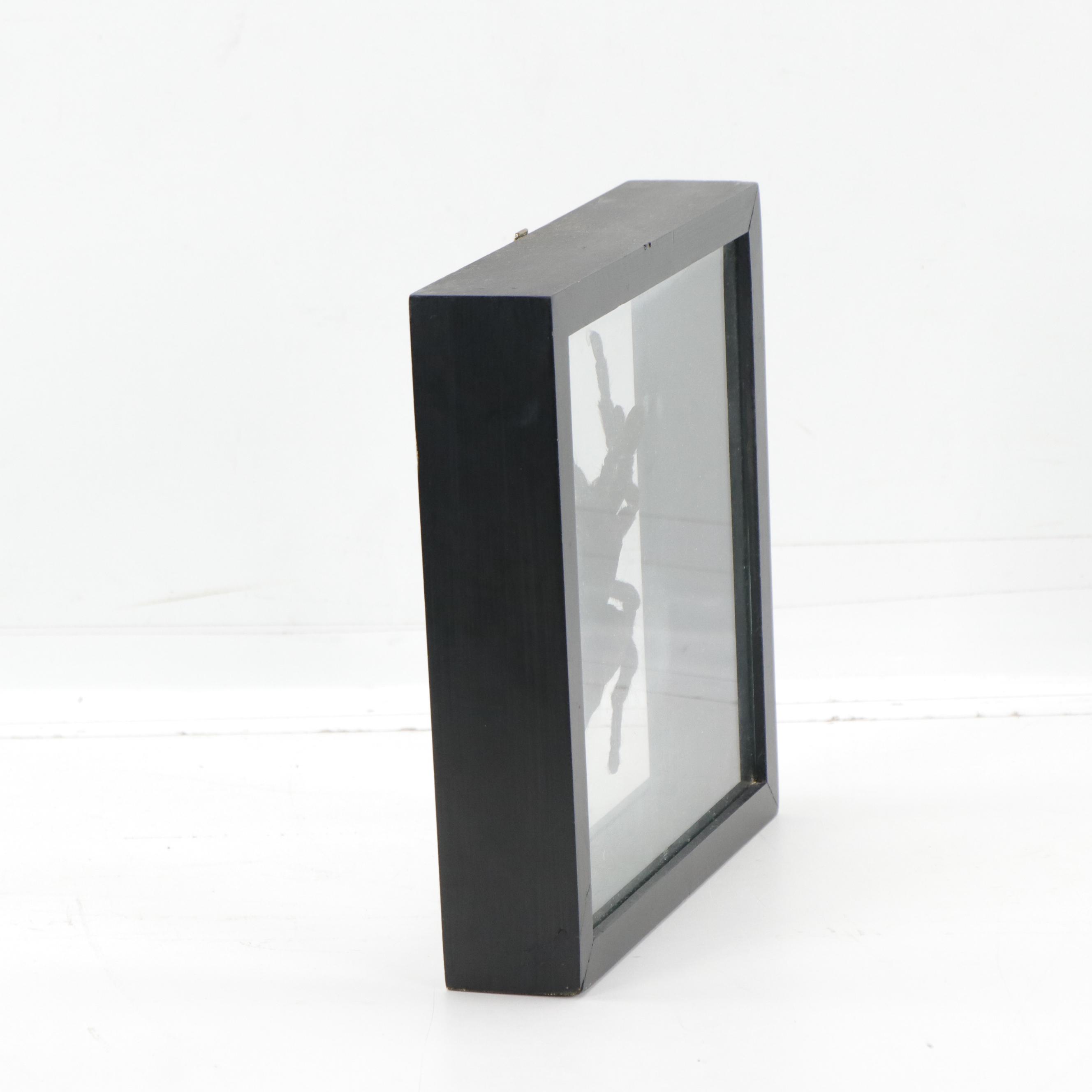 Taxidermy Tarantula Spider Specimen in Double Sided Frame