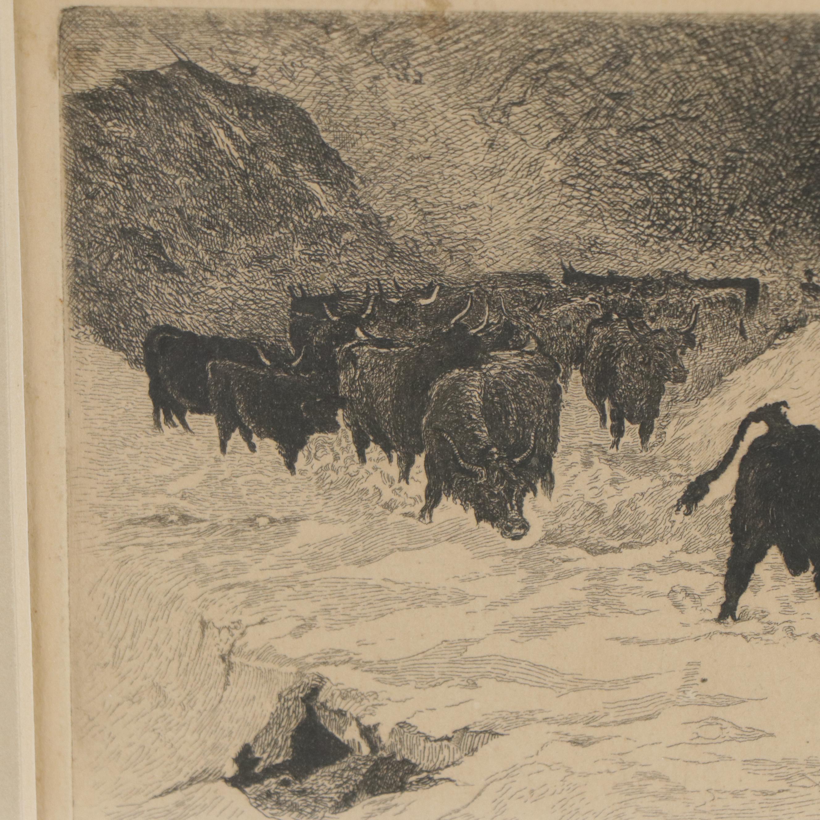 Edward J. Dillon Steel Engraving "Western Cattle in Storm" After McWhirter