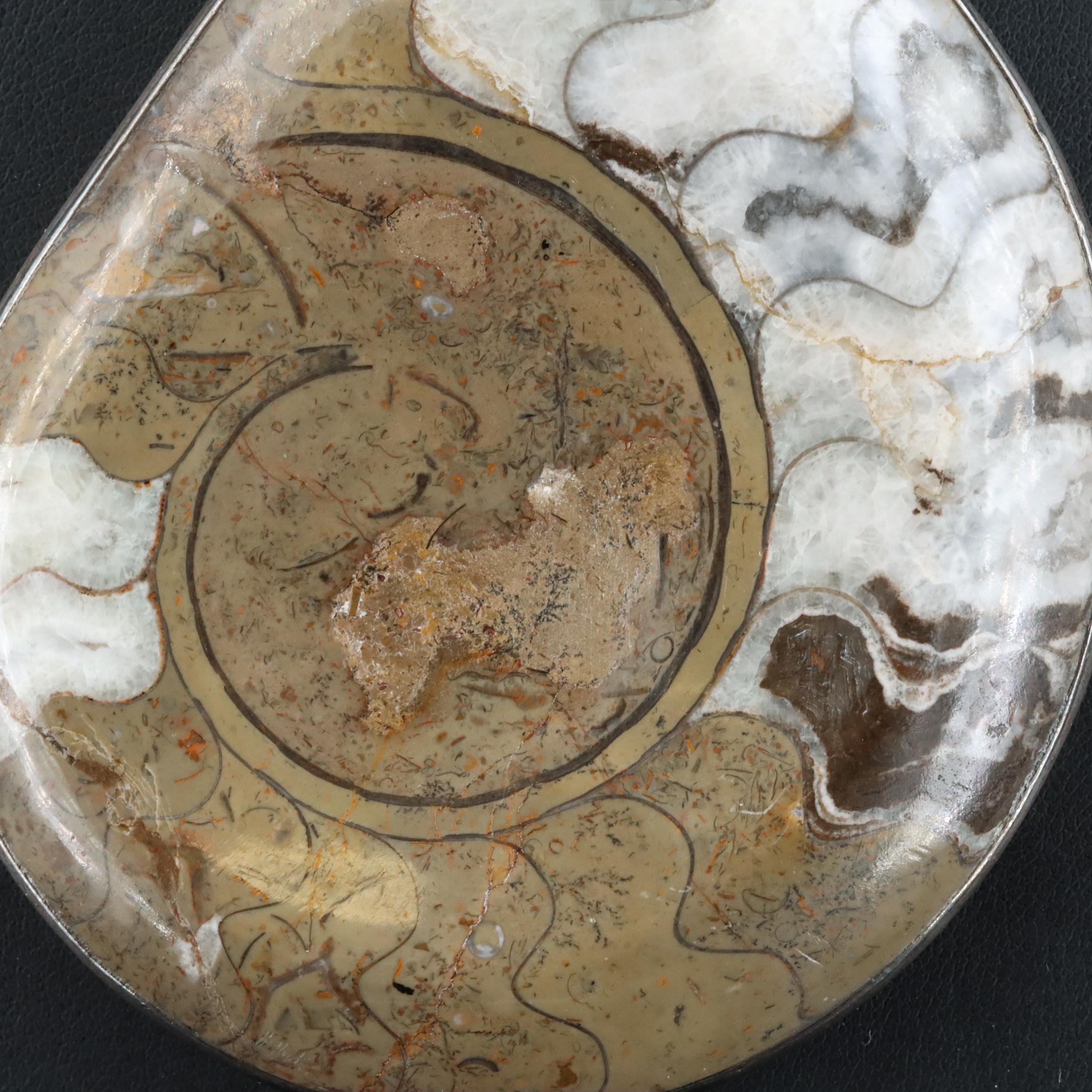 Fossilized Ammonite Pendant Necklace