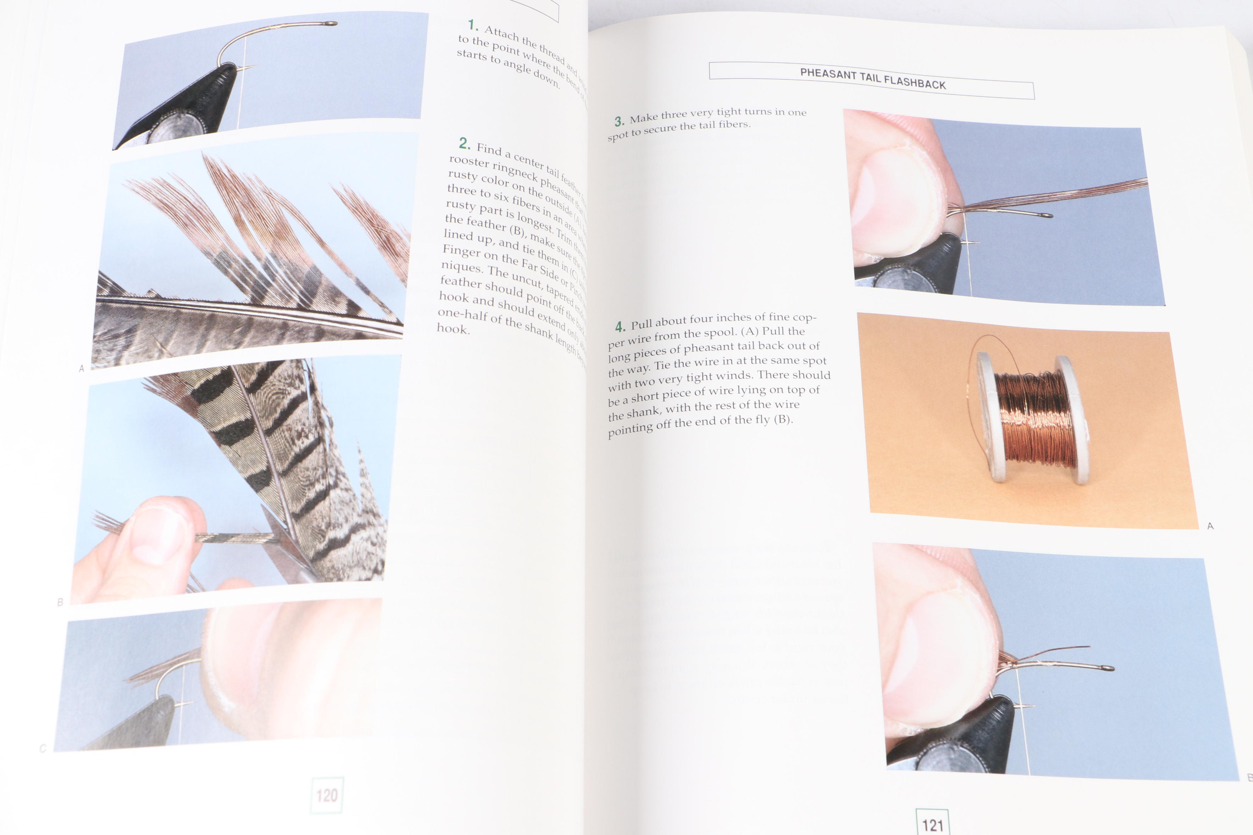 Fishing with Plant and Animal Guidebooks and More Nonfiction Books