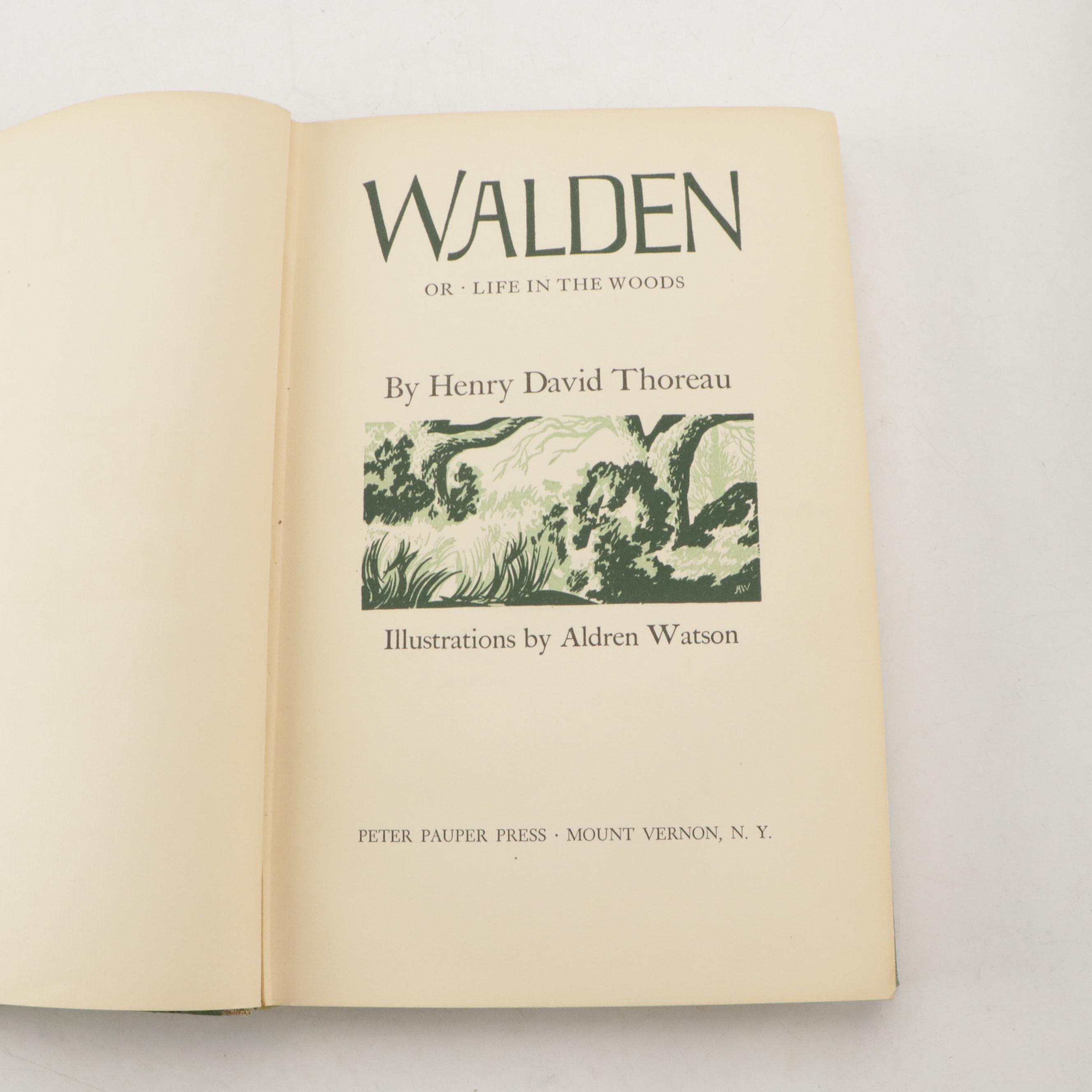 Illustrated "The Three Musketeers" by Alexandre Dumas and More Books