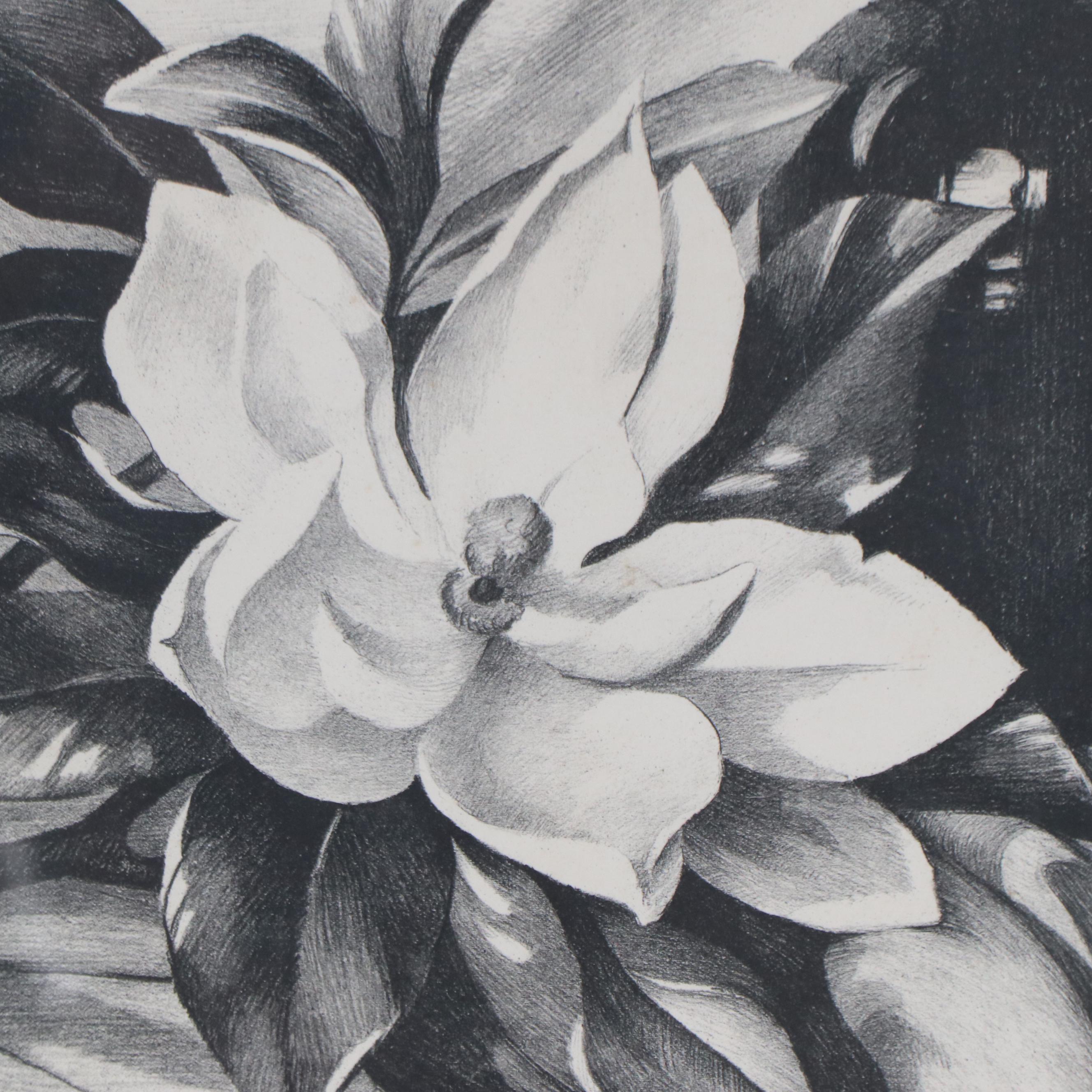 E. Sophonisba Hergesheimer Lithograph "A Southern Magnolia"