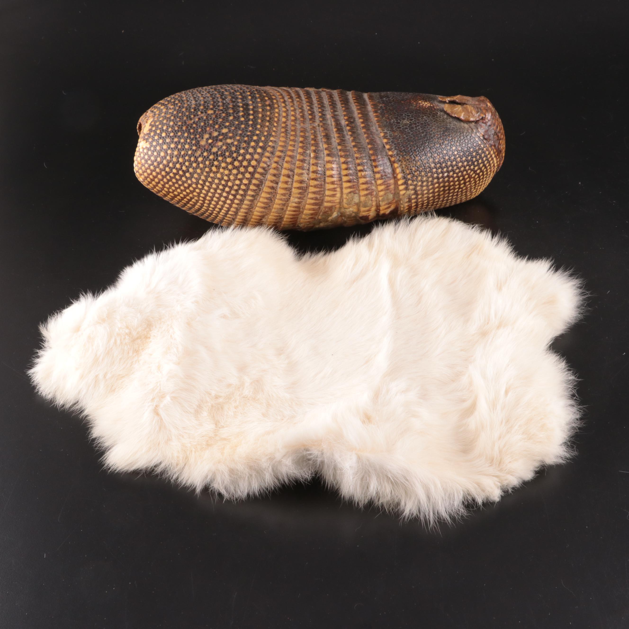 Nine-Banded Armadillo Shell and Rabbit Fur Pelt