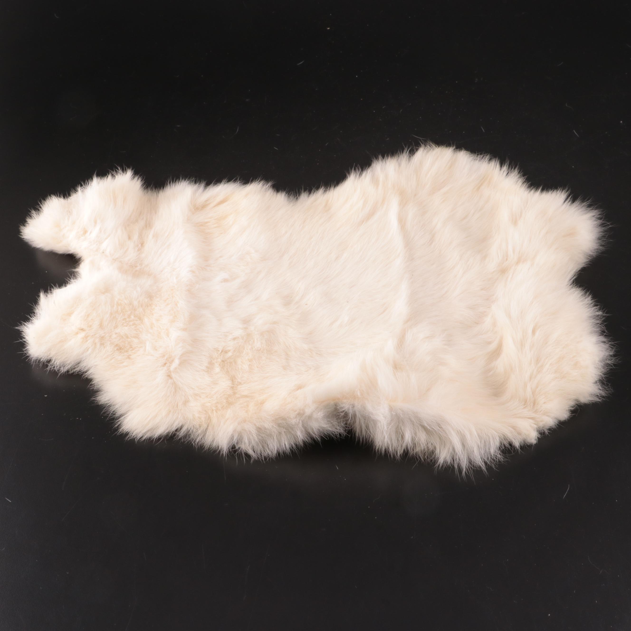 Nine-Banded Armadillo Shell and Rabbit Fur Pelt