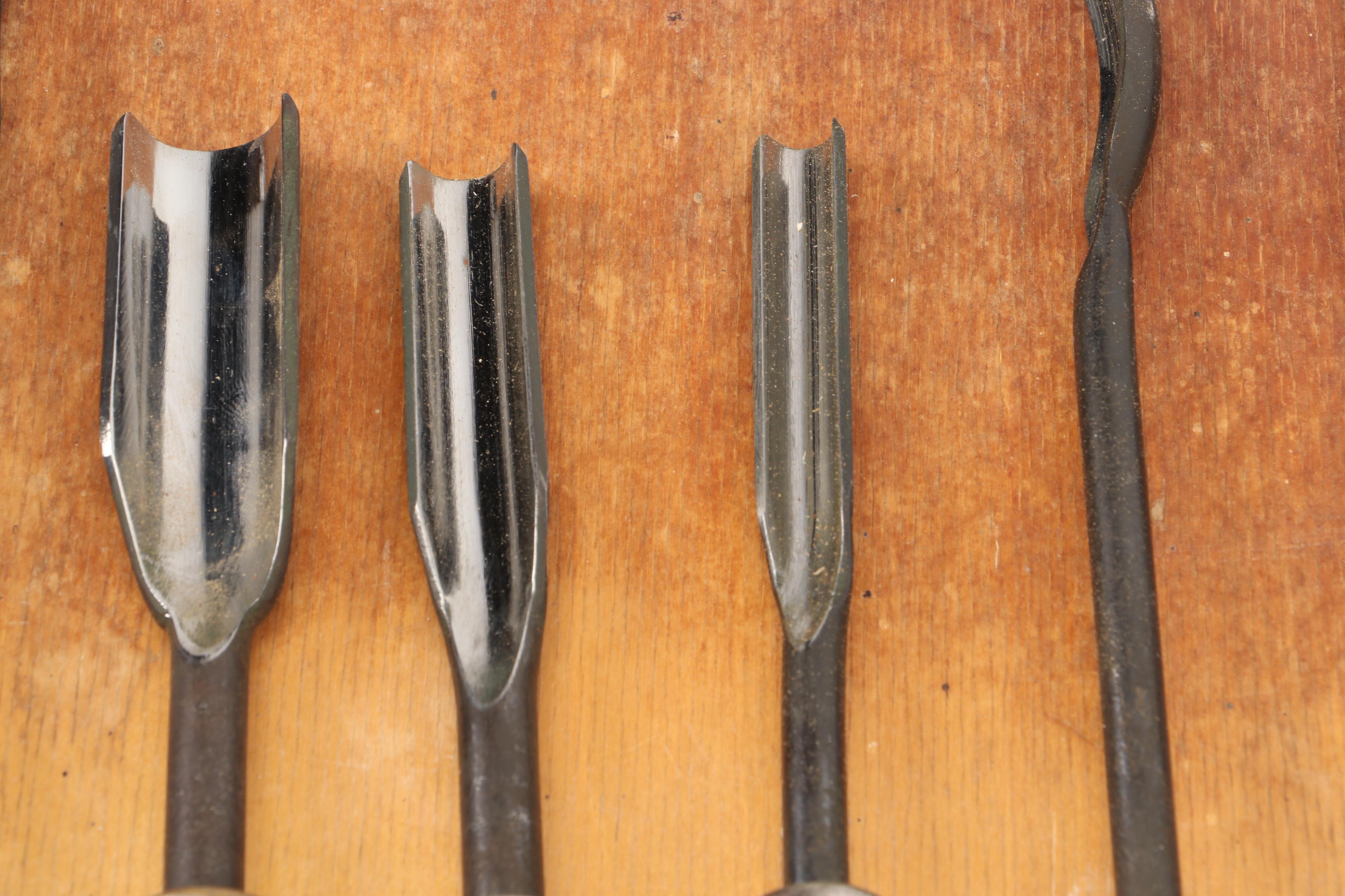 Lacquered Wood Handle Wood Turning Tools with Wood Storage Case