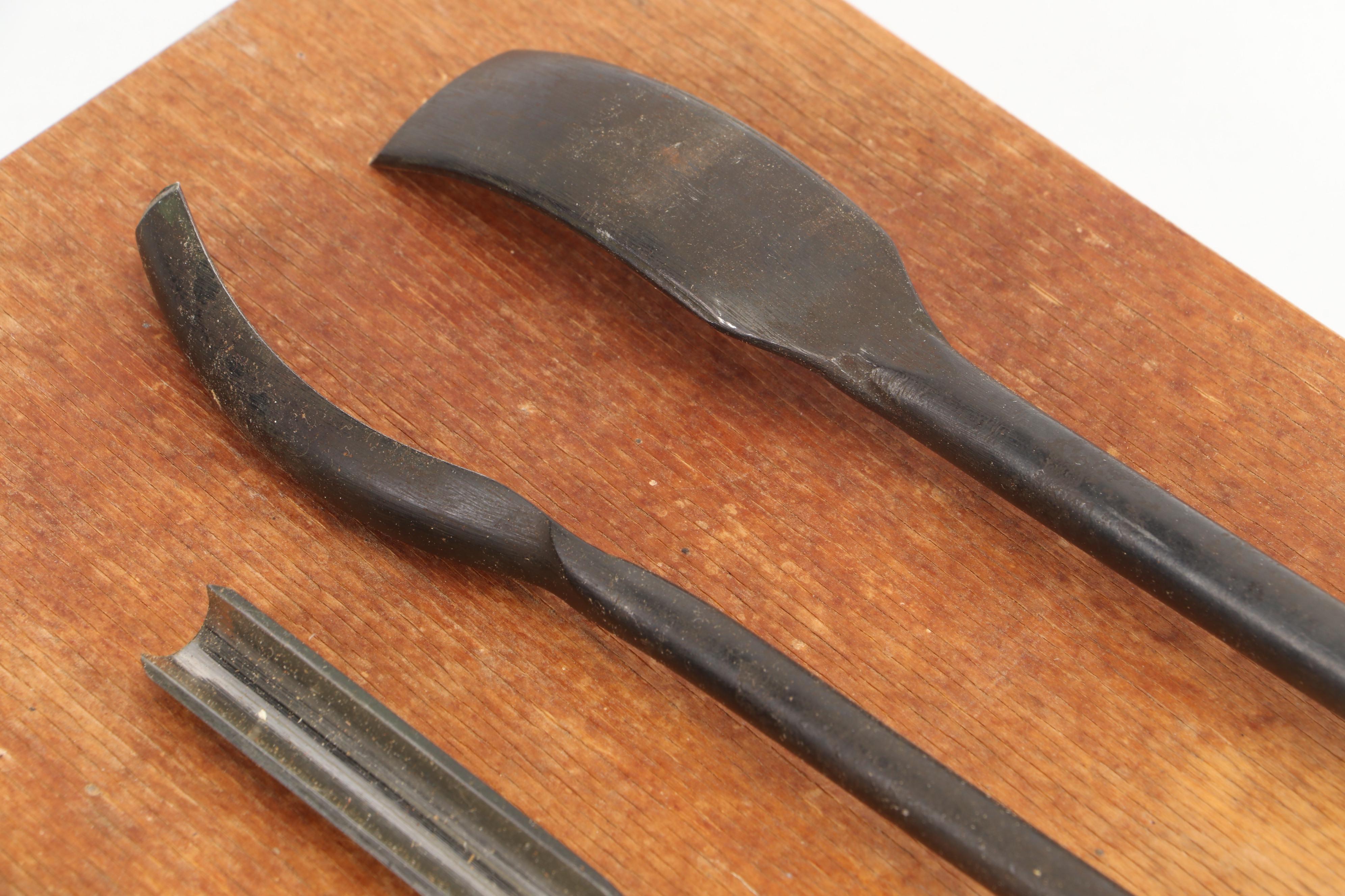 Lacquered Wood Handle Wood Turning Tools with Wood Storage Case