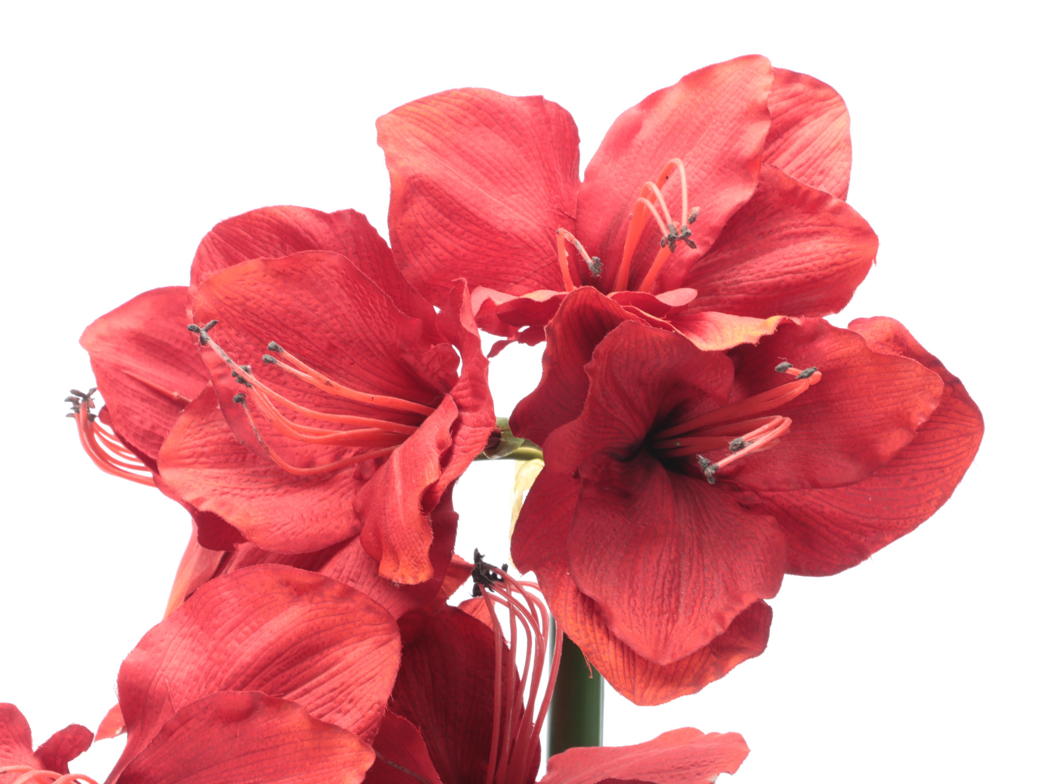 Artificial Amaryllis Flowers in Planters EBTH