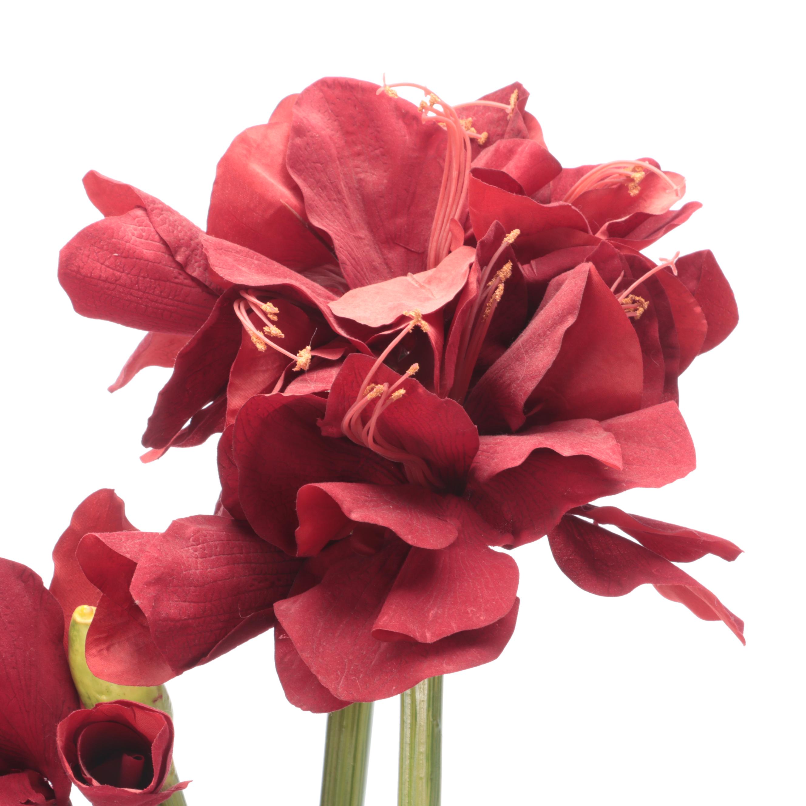 Artificial Amaryllis Flowers in Planters EBTH