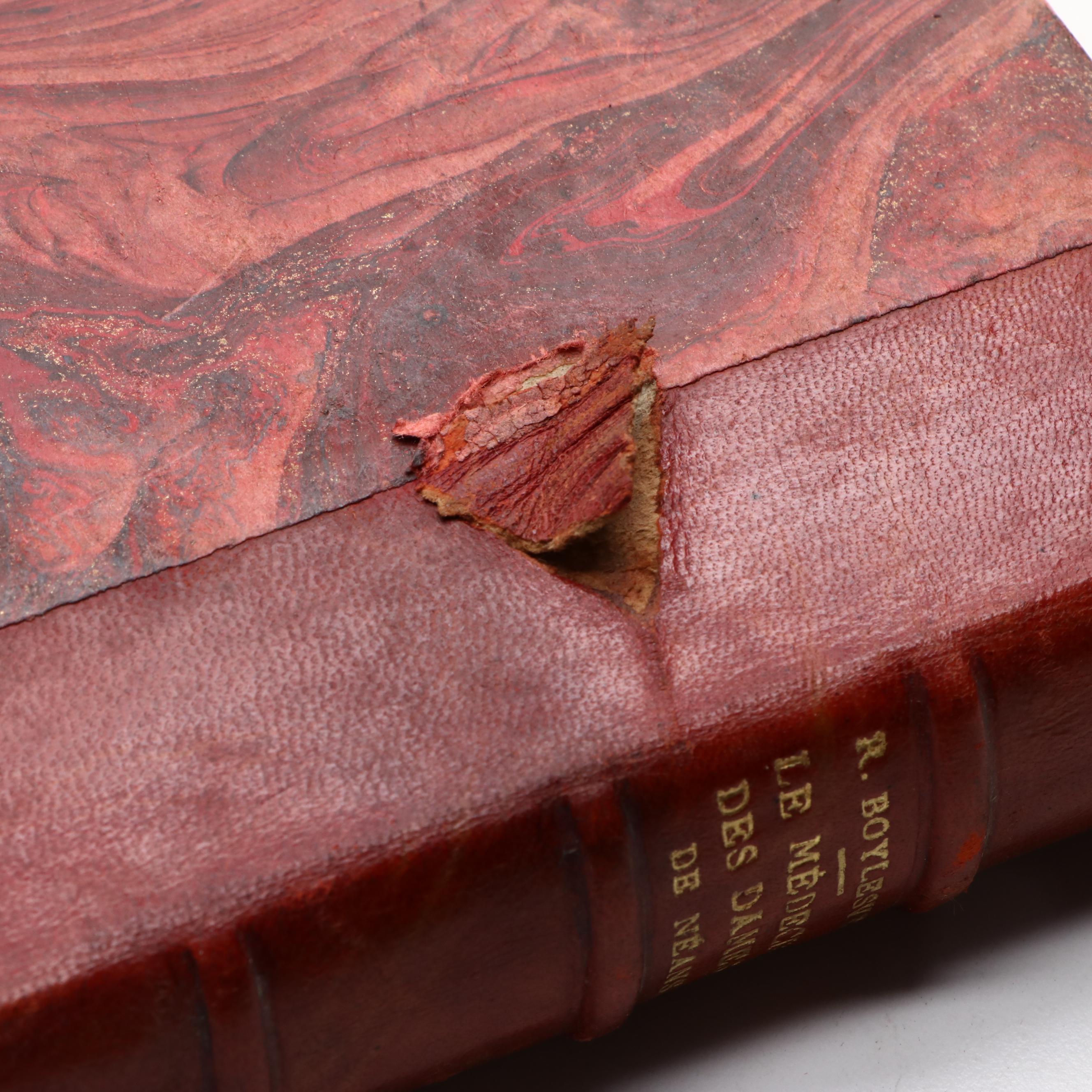 "Mademoiselle de Maupin" by Théophile Gautier and More French-Language Books